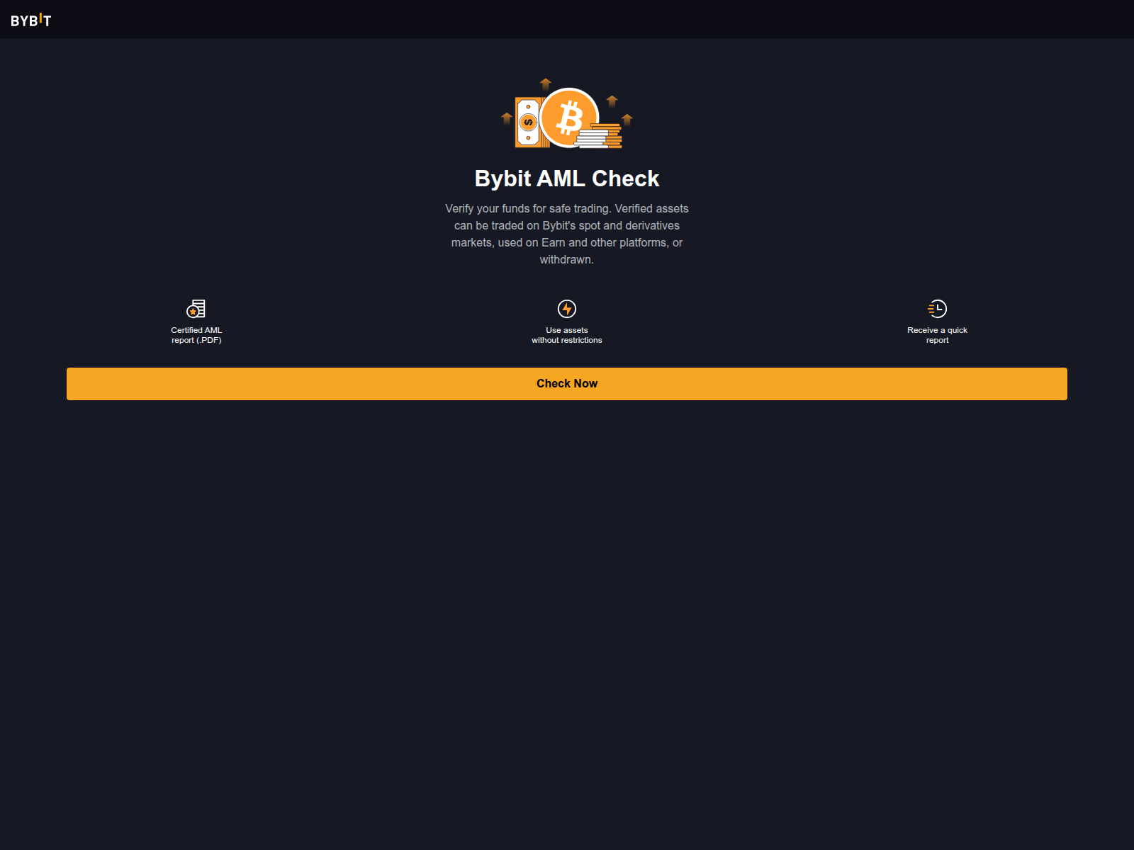Screenshot of aml-checks-bybit.com