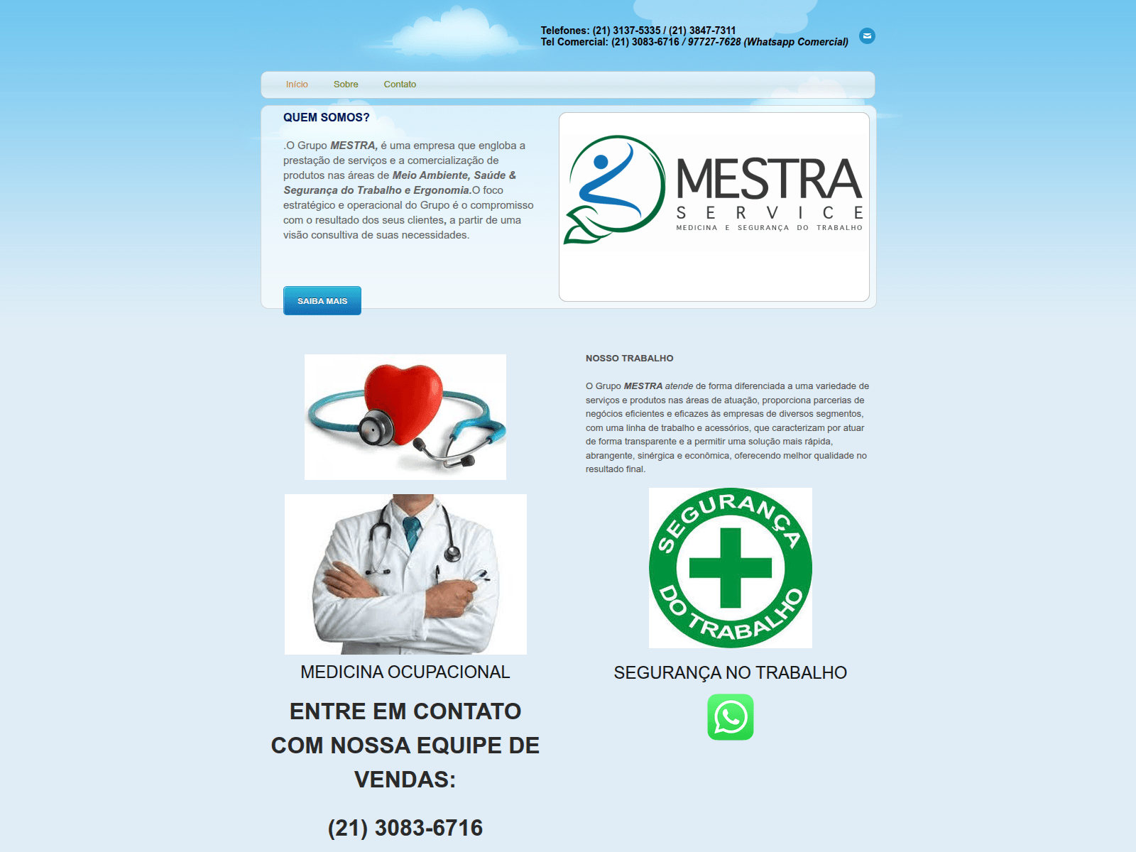 Screenshot of mestraservice.com.br