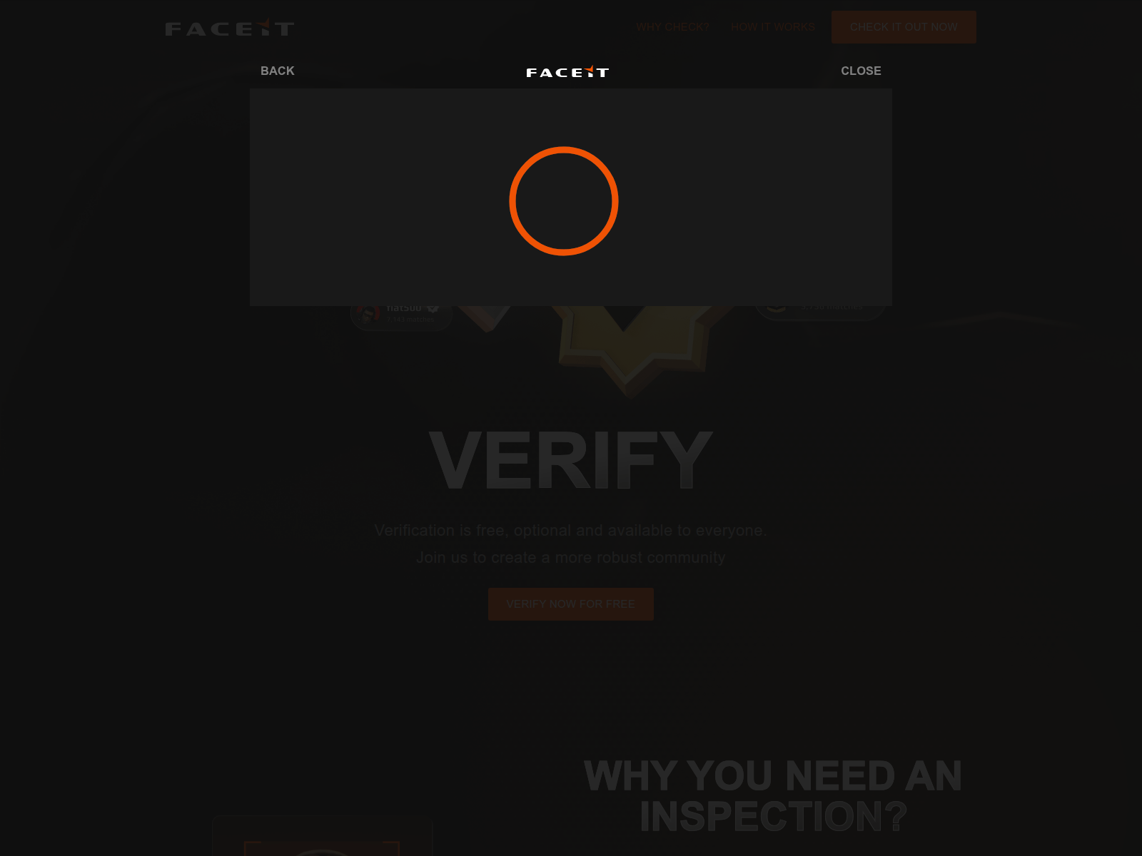 Screenshot of faceitt.verification2fa.com