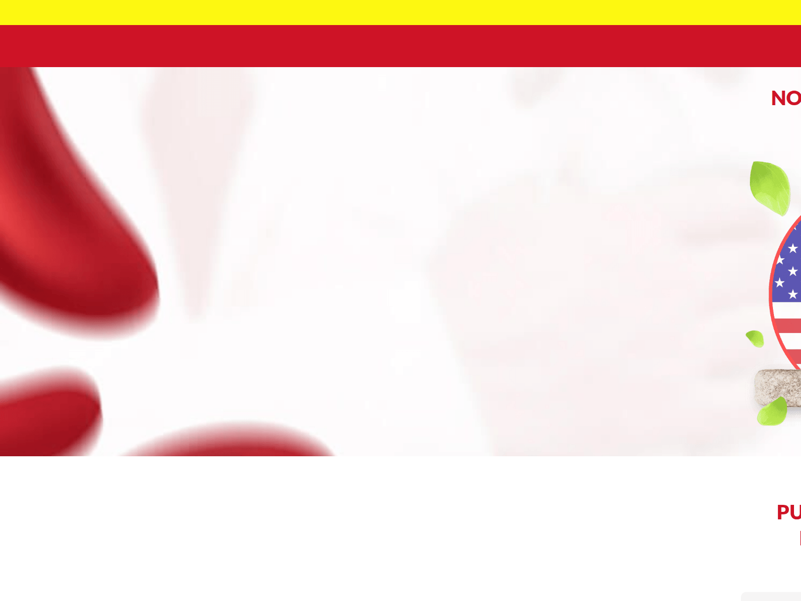Screenshot of brasilpgs.com
