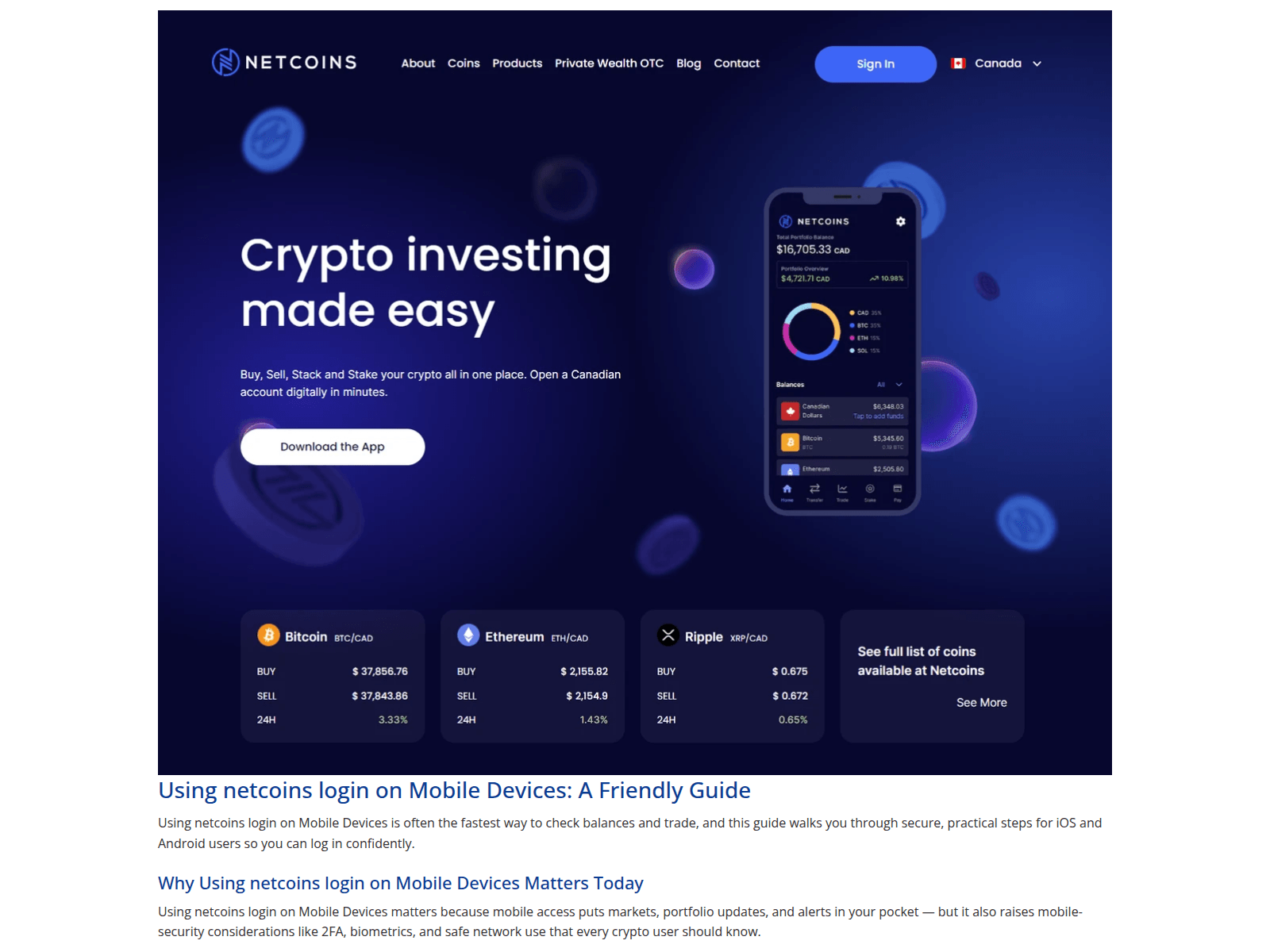 Screenshot of web-netcoin-app-auth.tem3.io