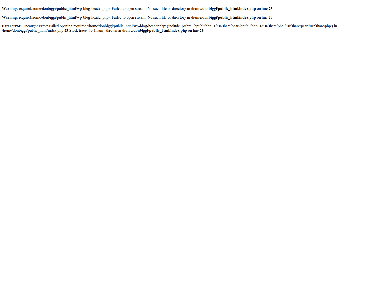 Screenshot of donbiggieluxury.com