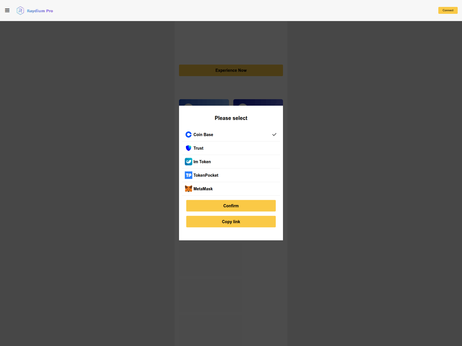 Screenshot of raydium-pro.vip