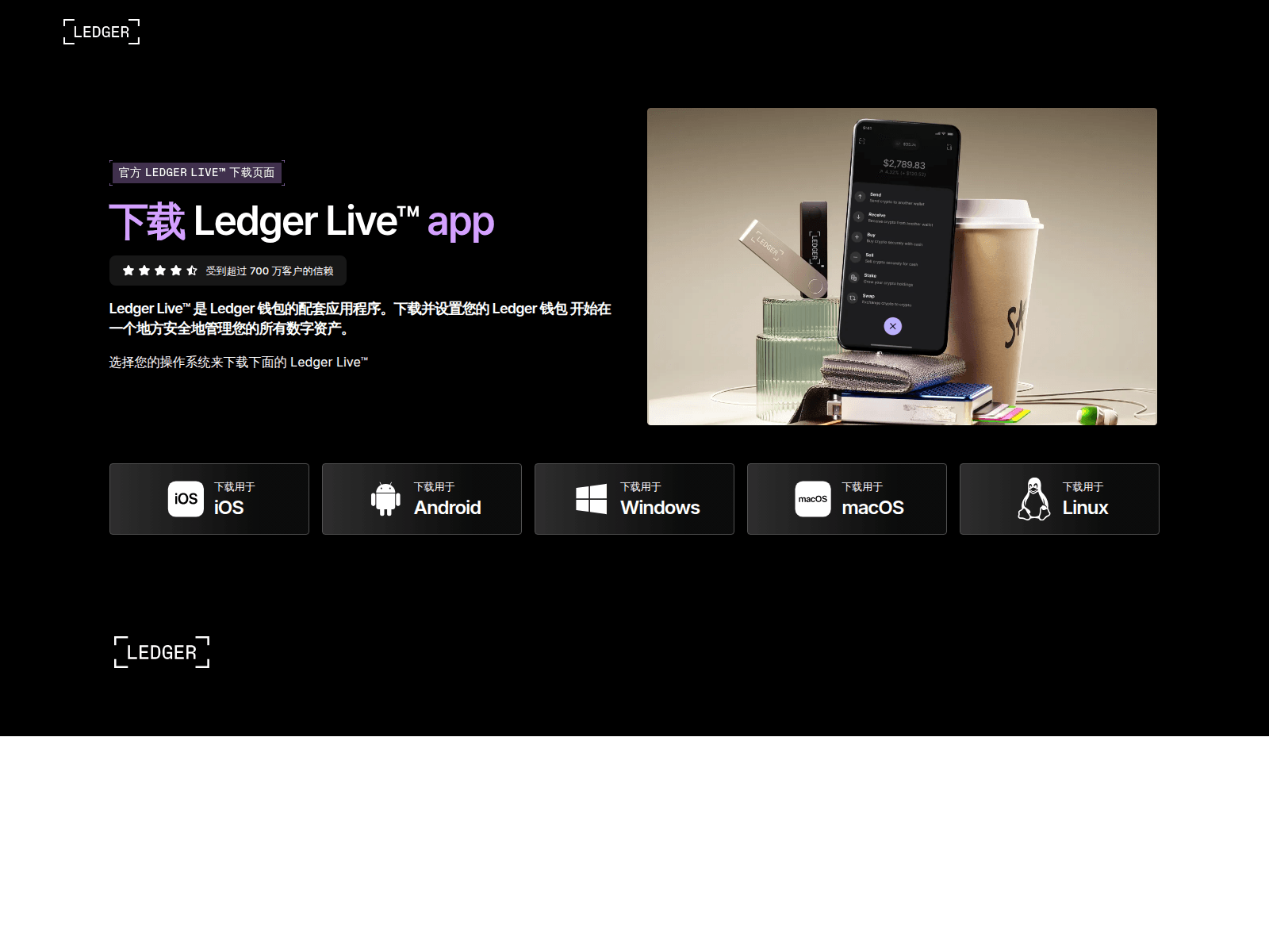 Screenshot of ledgerapp.shop