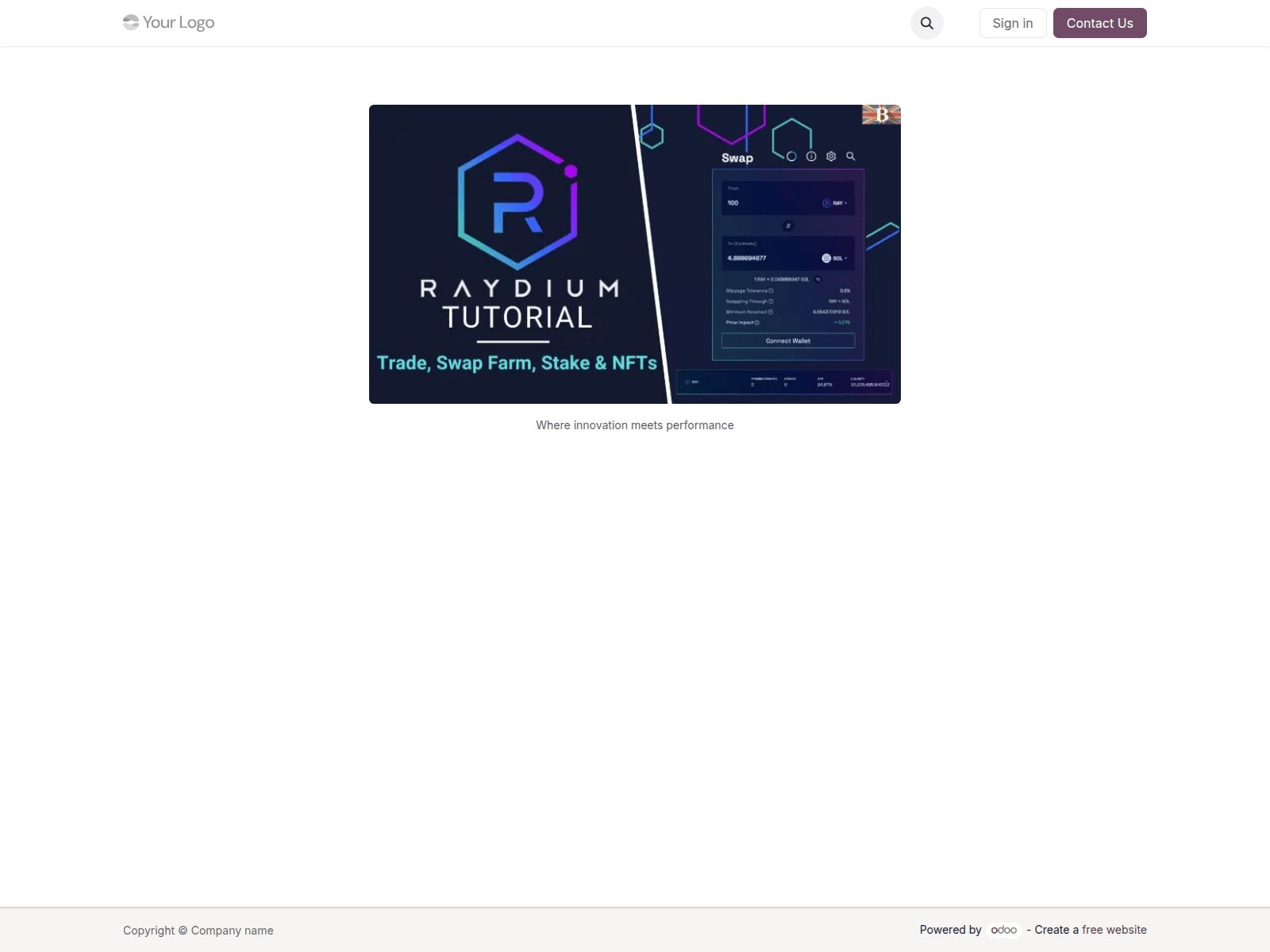 Screenshot of raydim-en.odoo.com