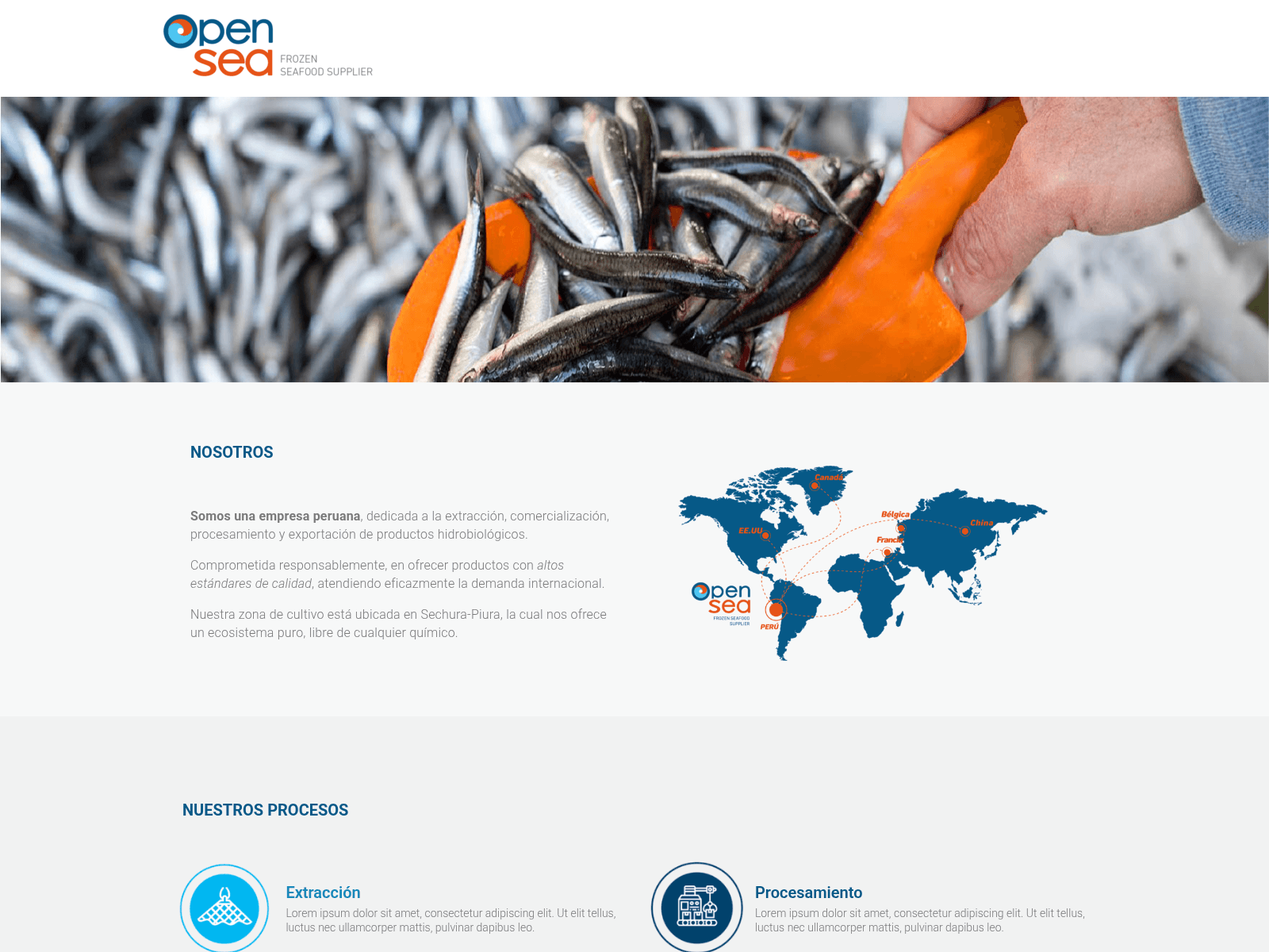Screenshot of opensea.com.pe