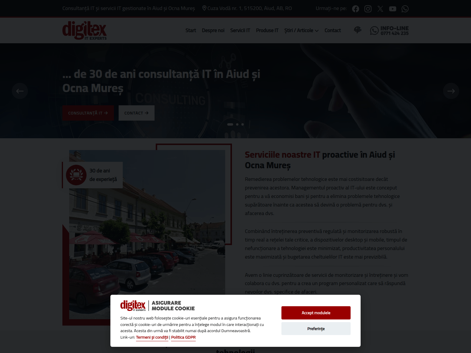 Screenshot of digitex.ro