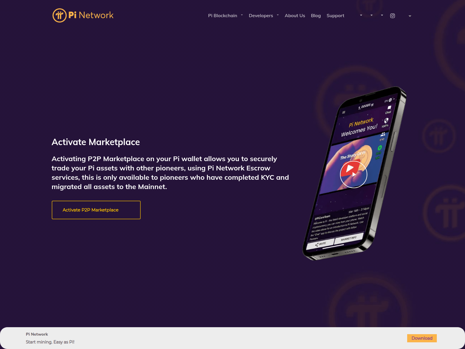 Forensic screenshot of pinetworld.org