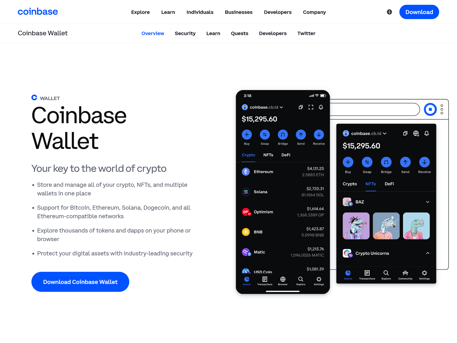 Screenshot of help--extenssion--coinbase.webflow.io