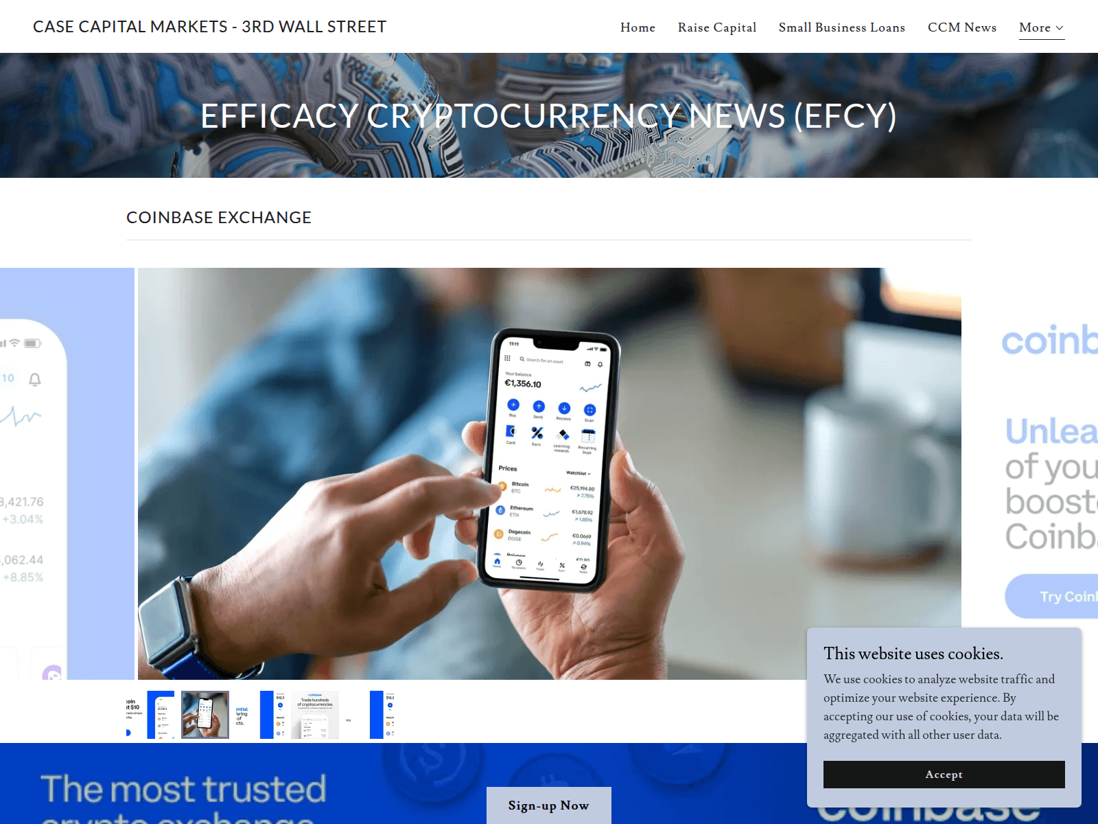 Screenshot of cryptovault.site