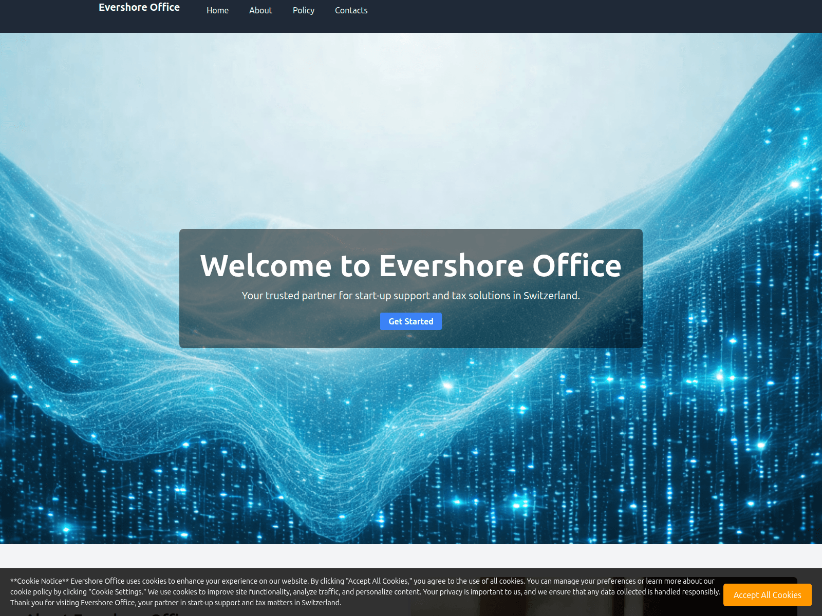 Screenshot of evershorex.com