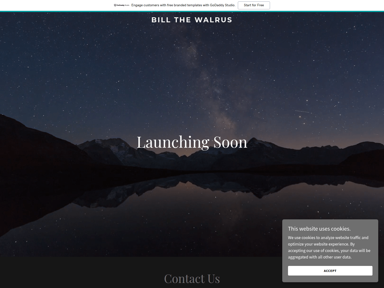Screenshot of billthewalrus.com