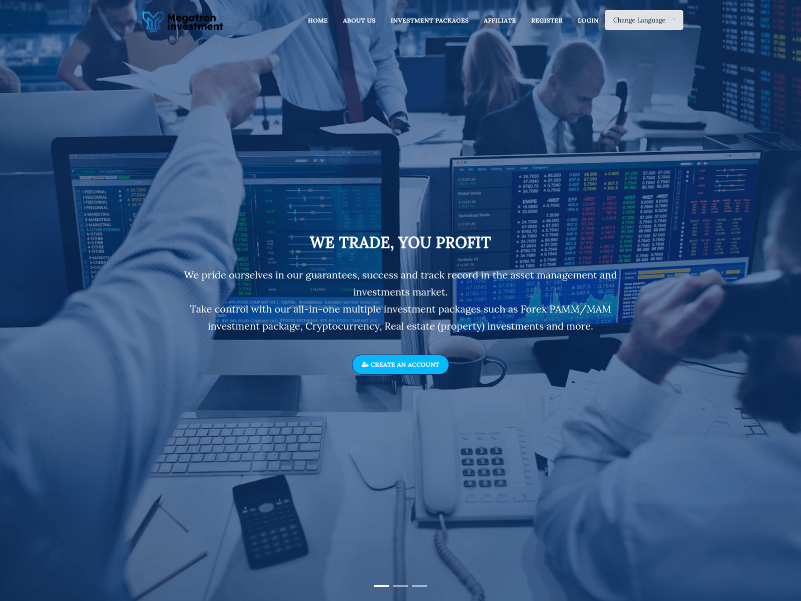 Screenshot of megatroninvest.com