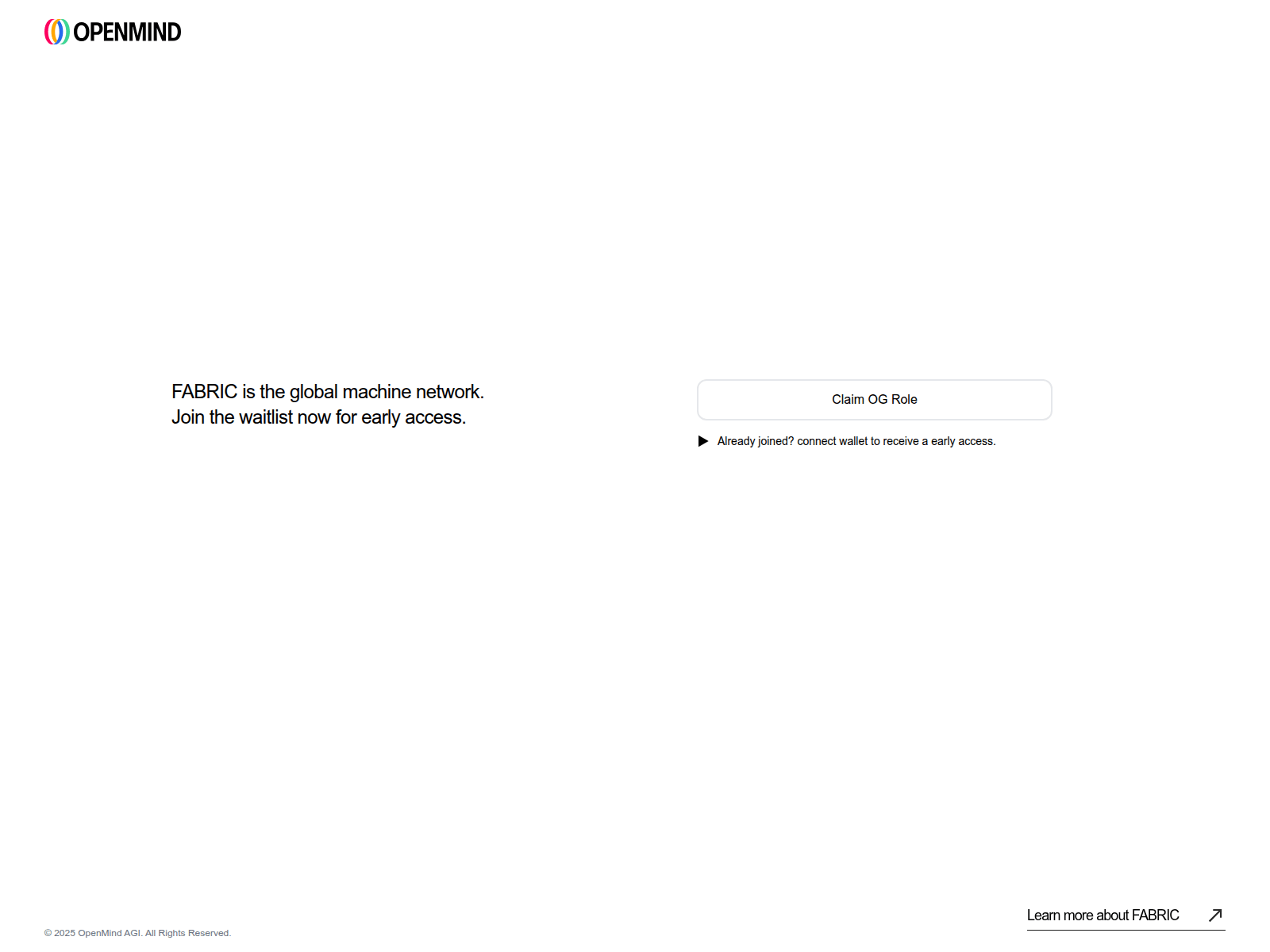 Screenshot of openmindearly.web.app