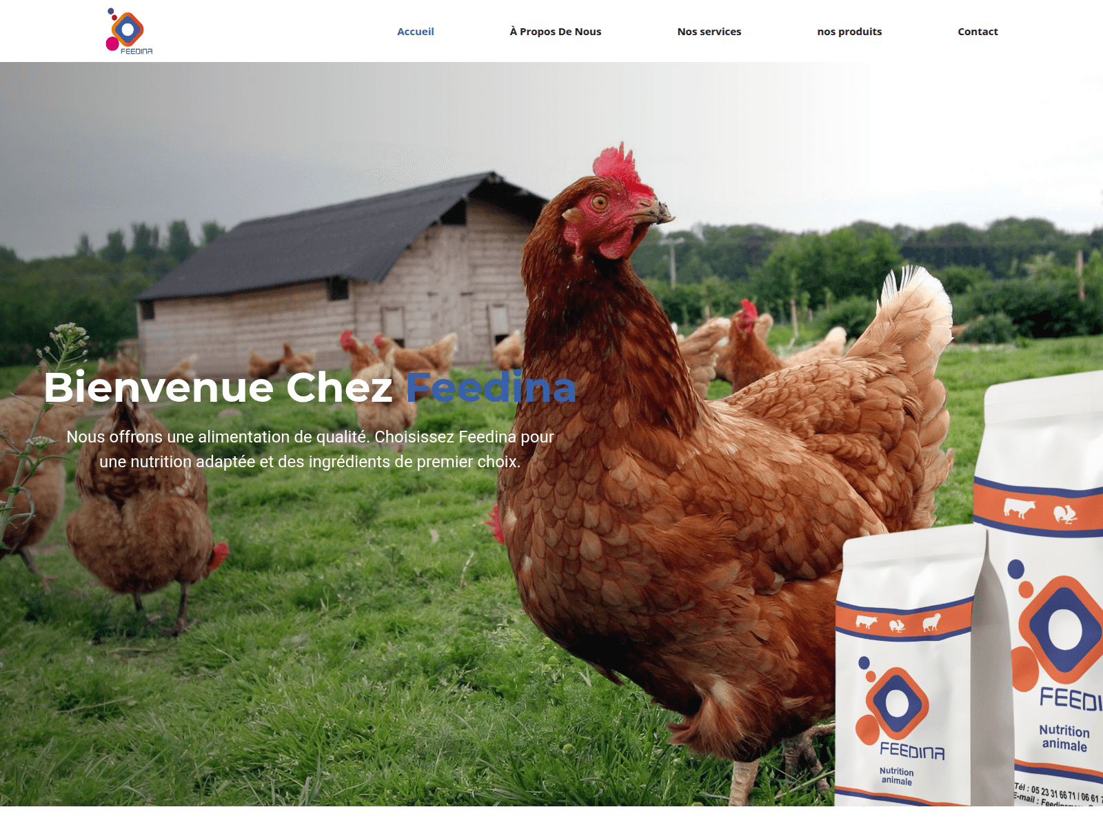 Screenshot of feedina.ma