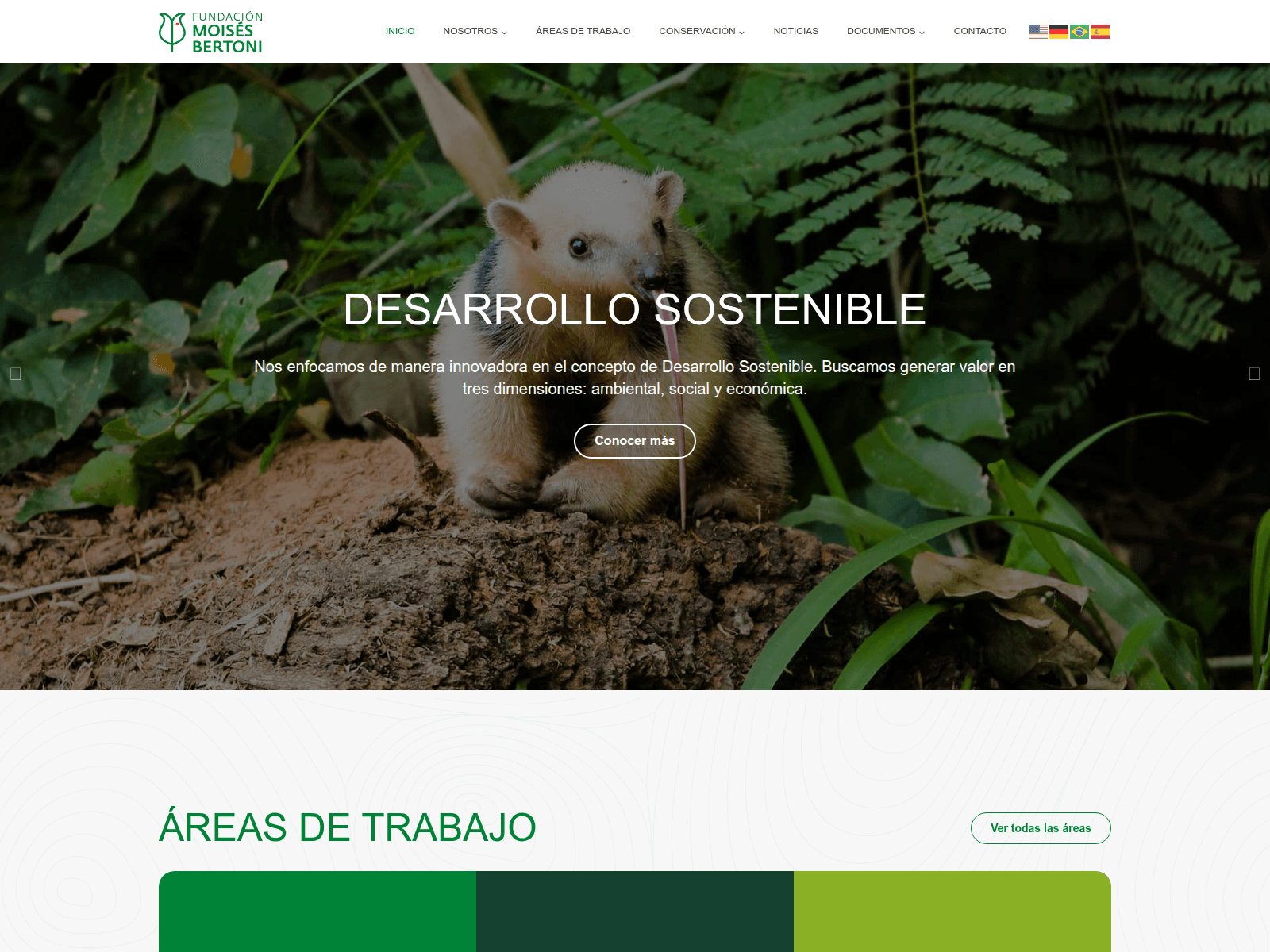 Screenshot of mbertoni.org.py