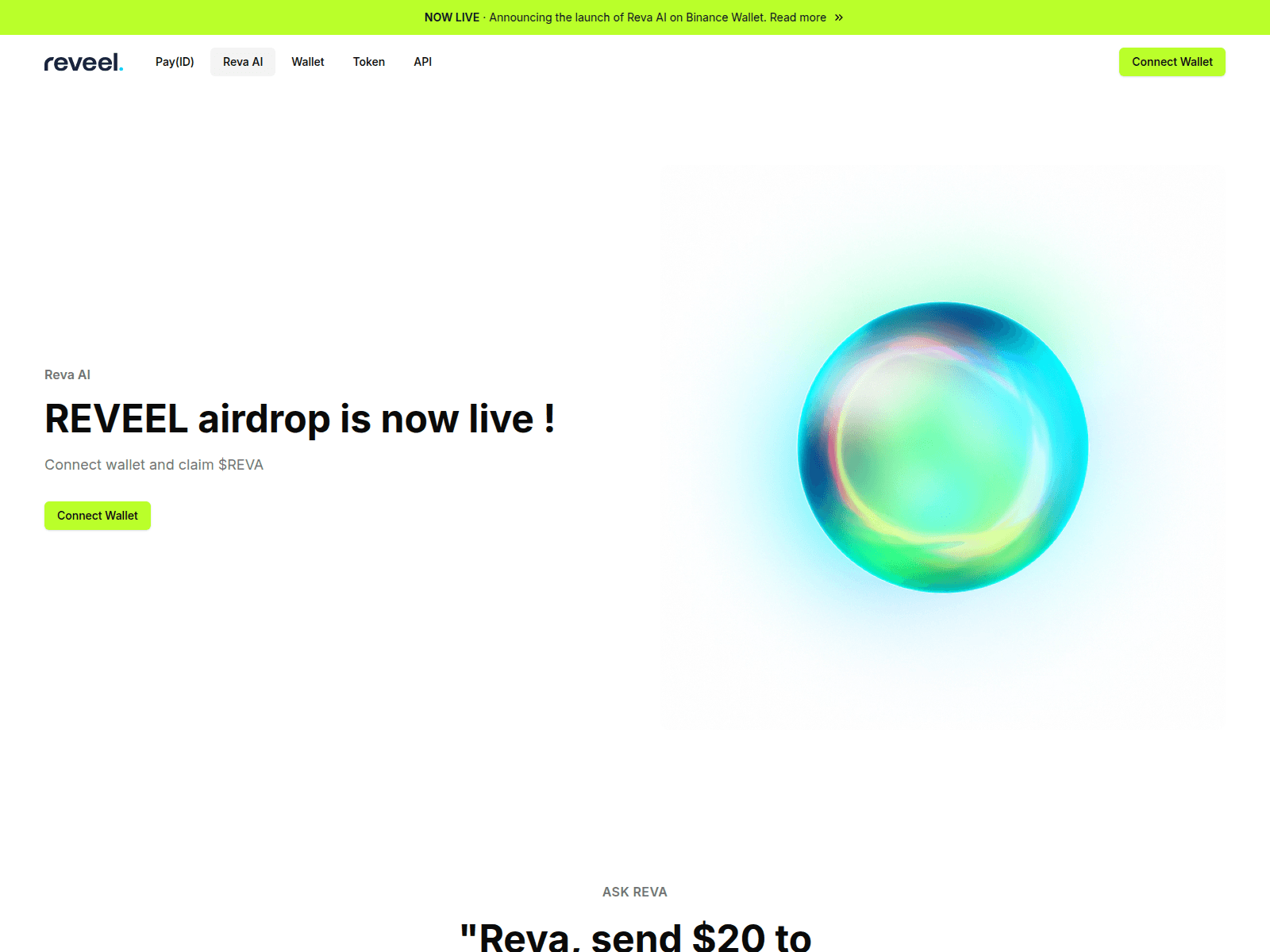 Screenshot of revapay.org