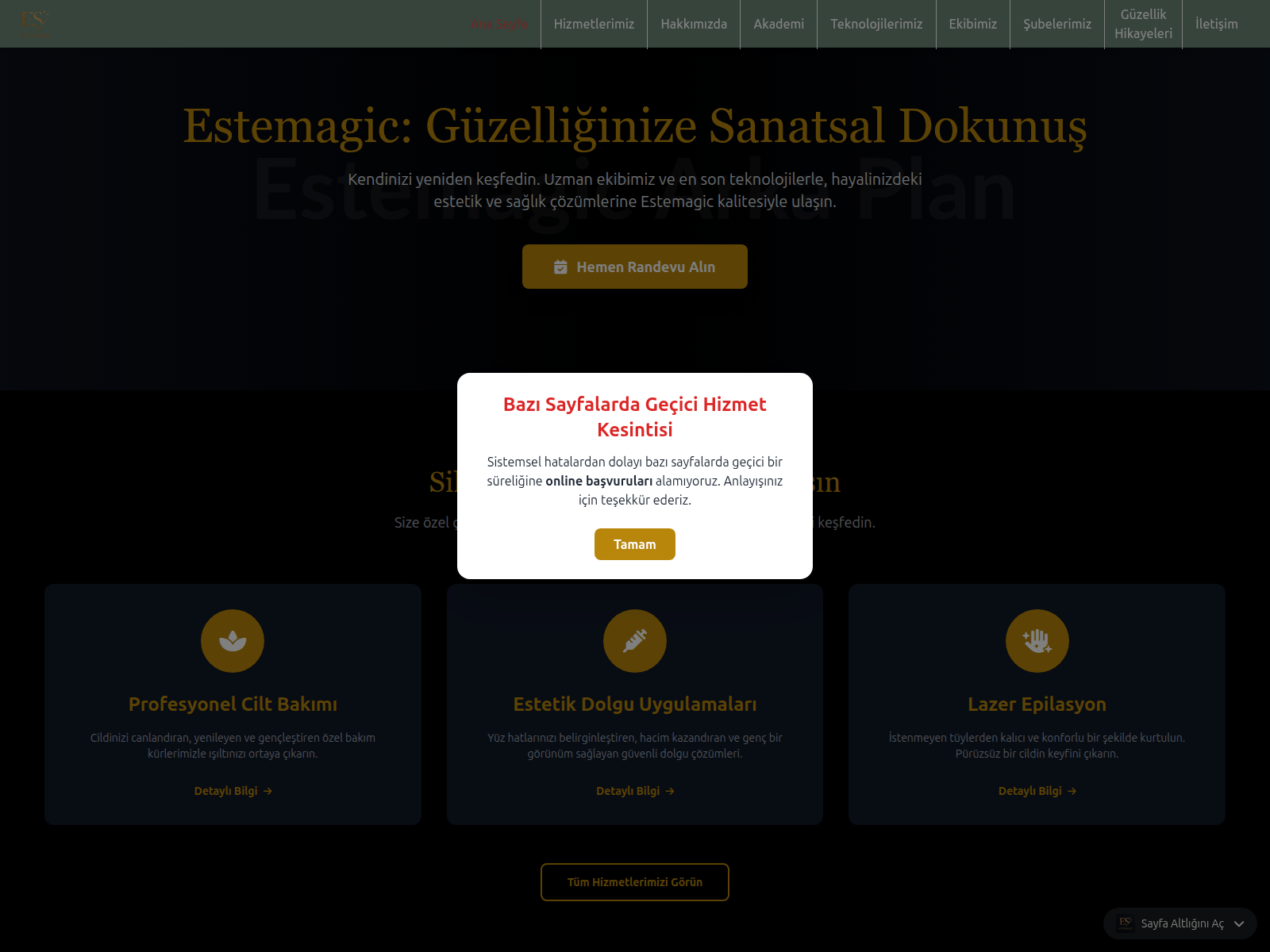 Screenshot of estemagic.com