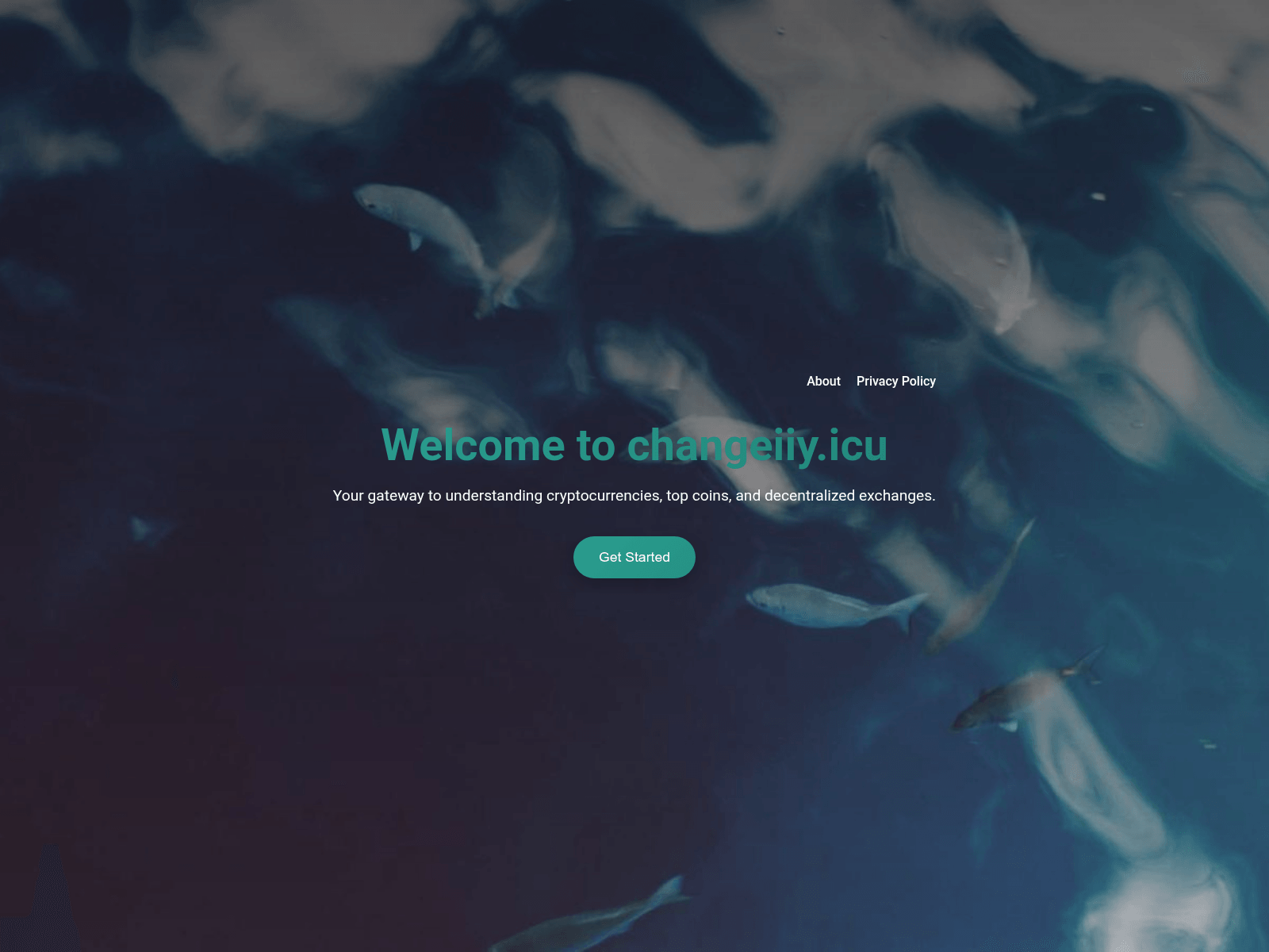 Screenshot of changeiiy.icu