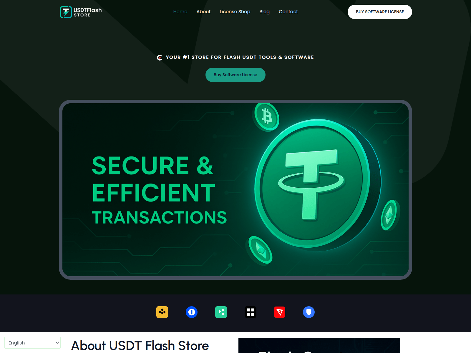 Screenshot of usdtflashstore.com