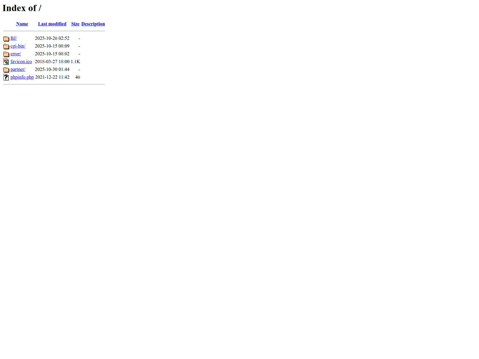 Screenshot of st0rage.zapto.org
