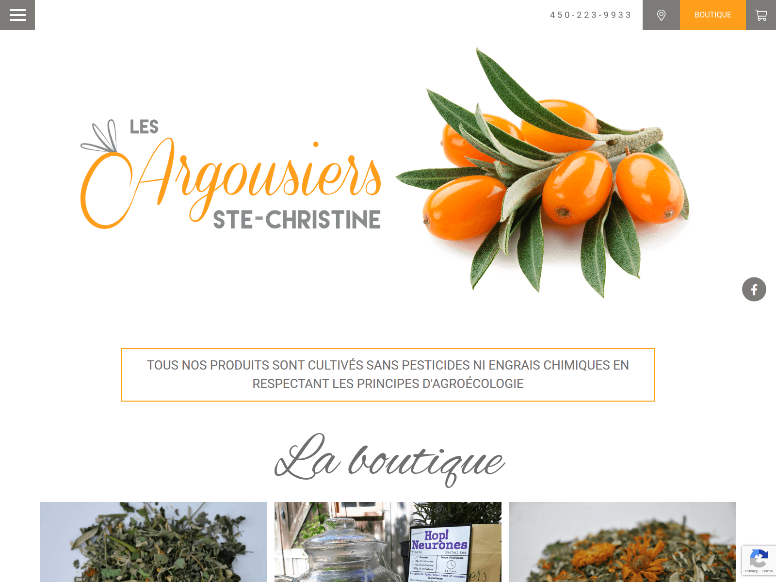 Screenshot of lesargousiers.ca