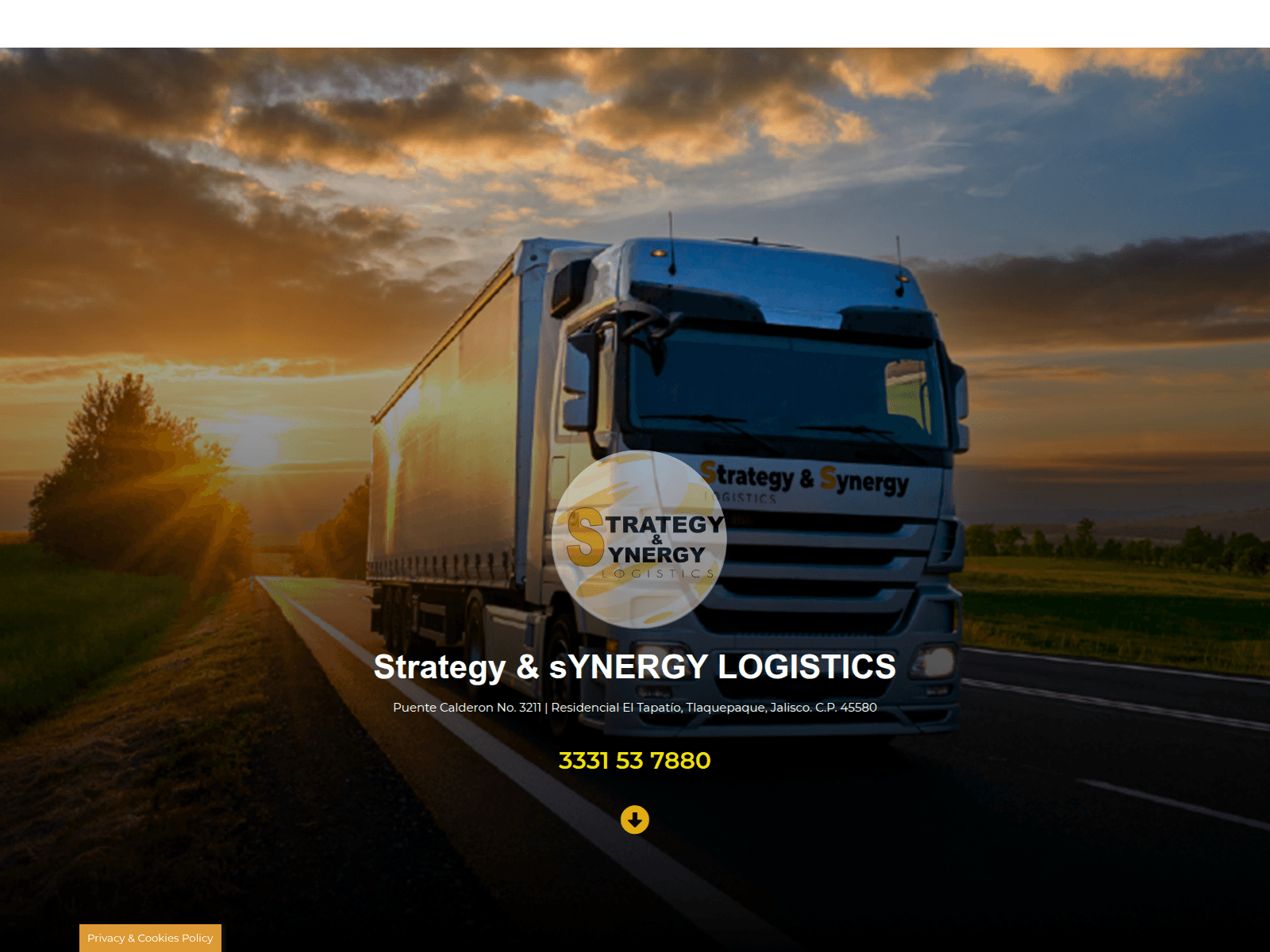 Screenshot of sslogistics.com.mx