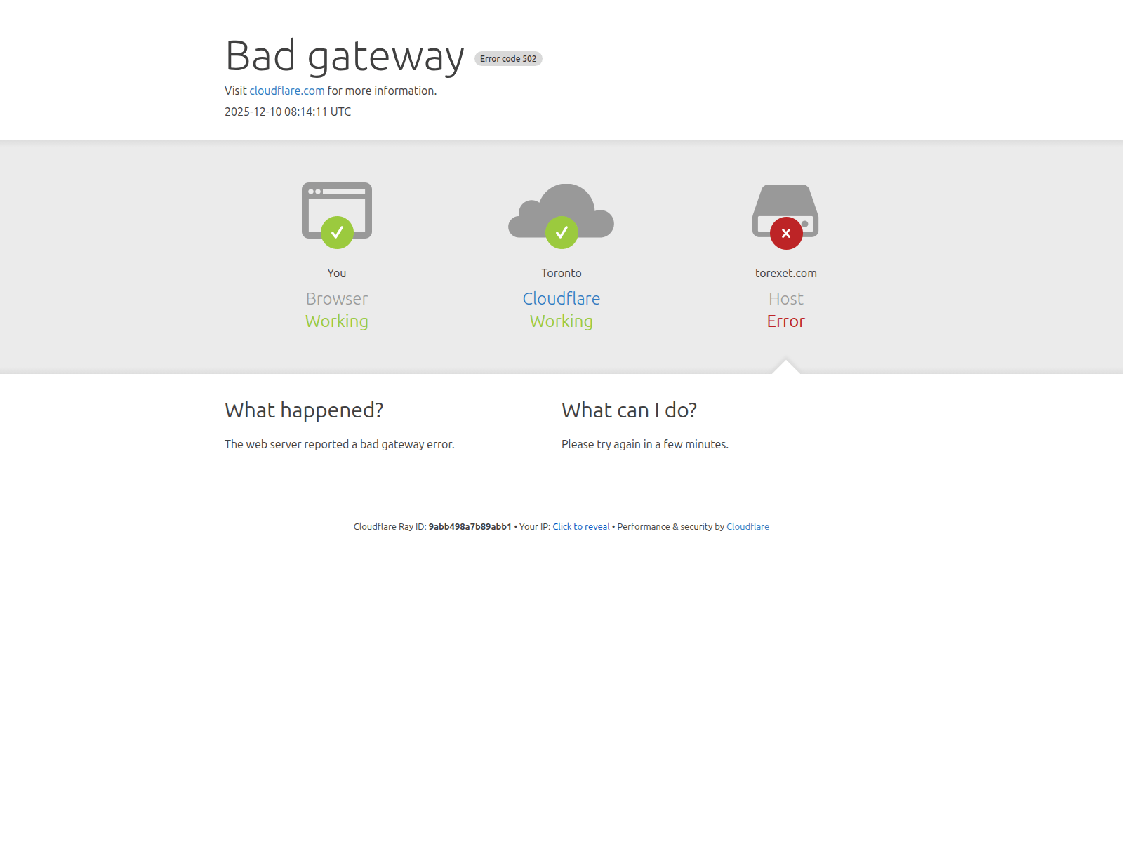 Screenshot of torexet.com