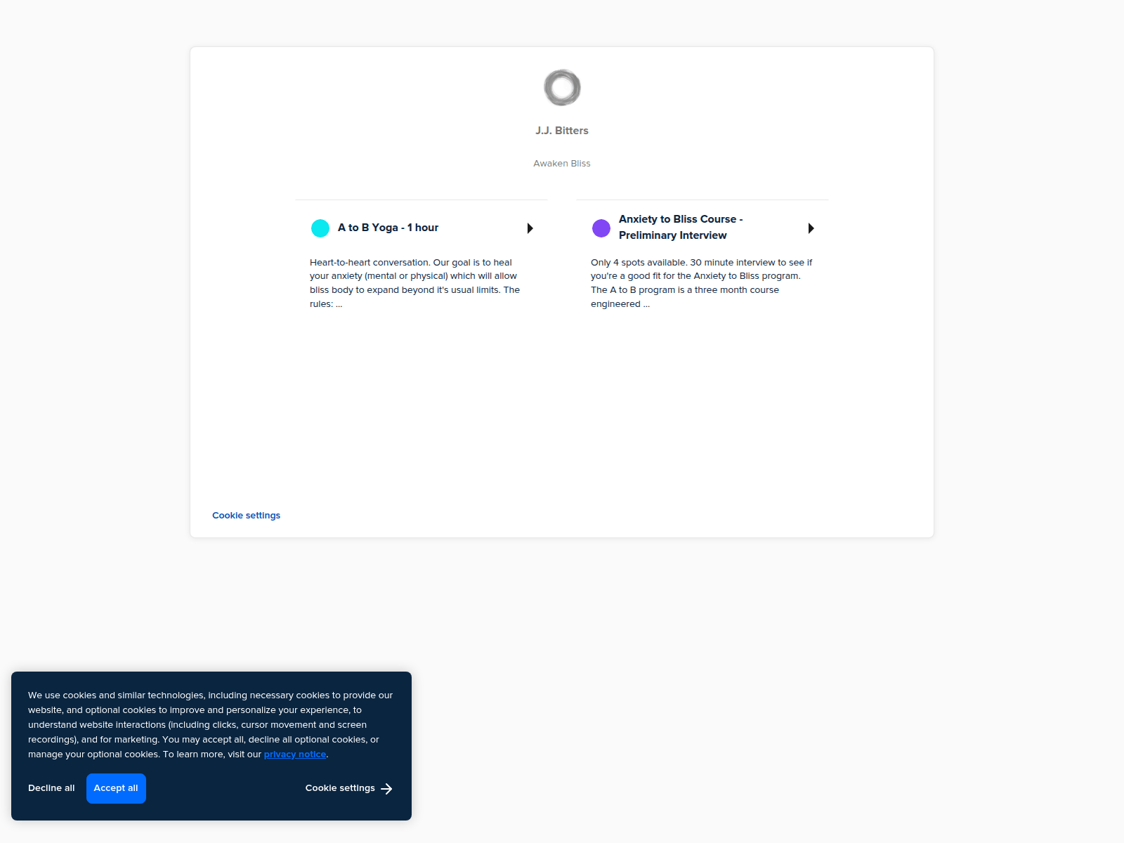 Screenshot of spiritualjanitor.com