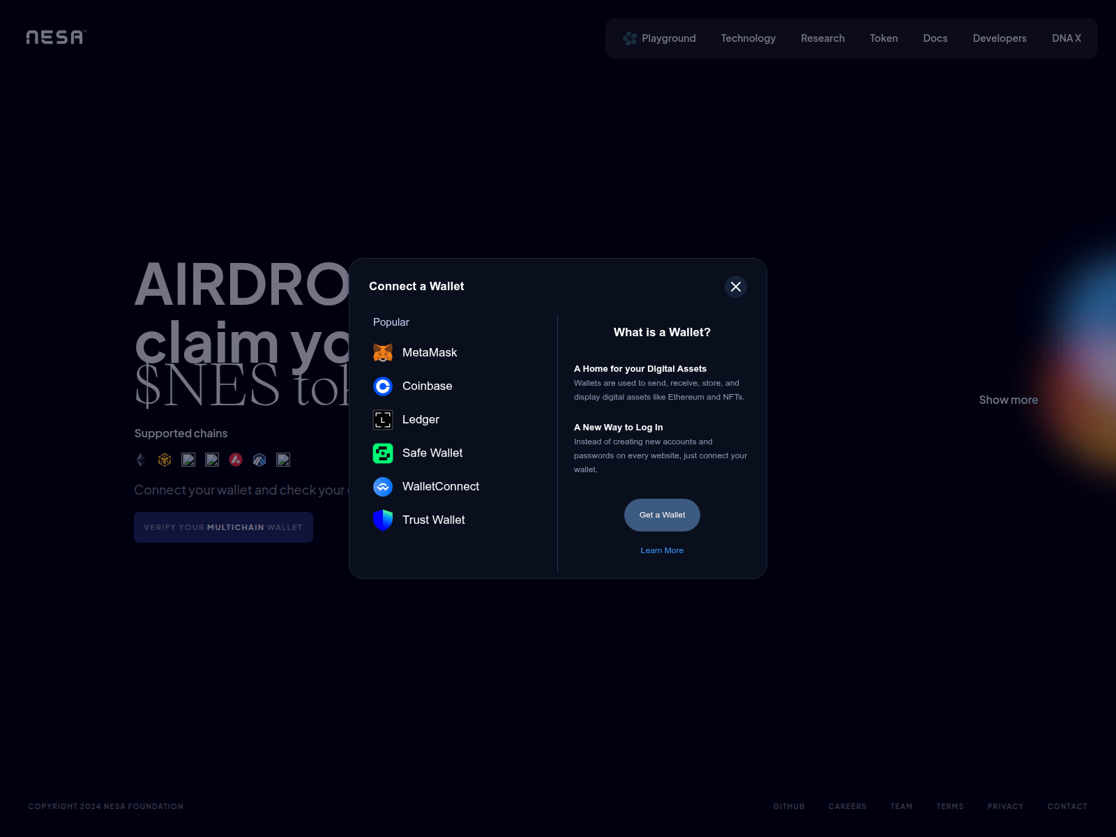 Screenshot of nesa-verify.pages.dev