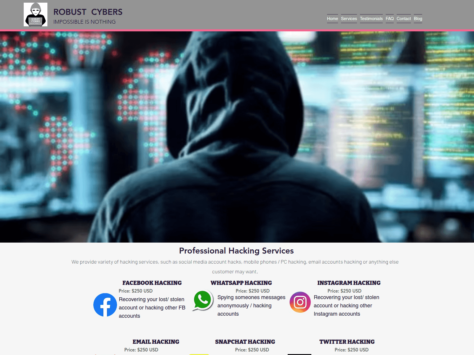 Screenshot of robustcybers.com