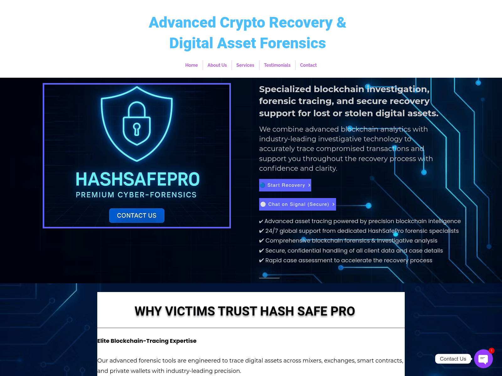 Screenshot of hashsafepro.com
