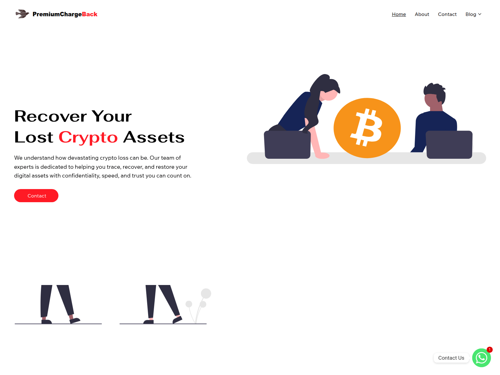 Screenshot of premiumchargeback.com