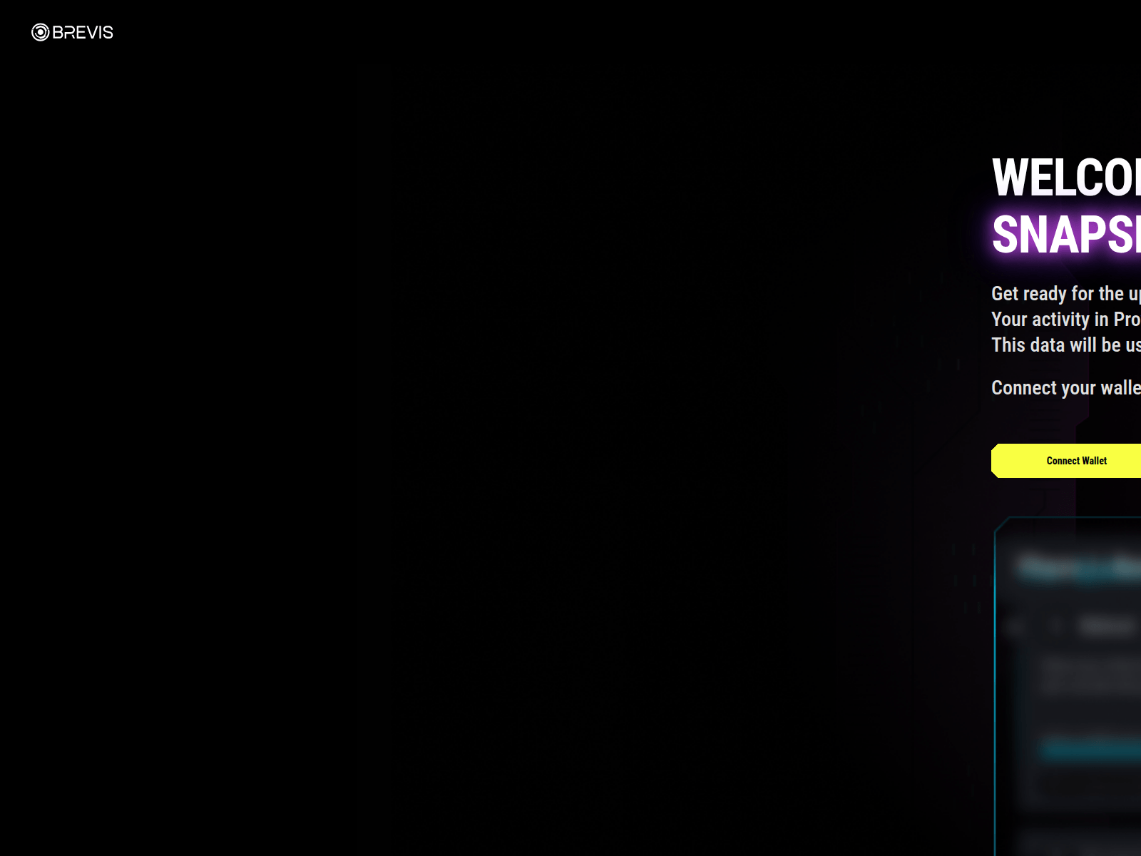 Screenshot of brevis-snapshot.xyz