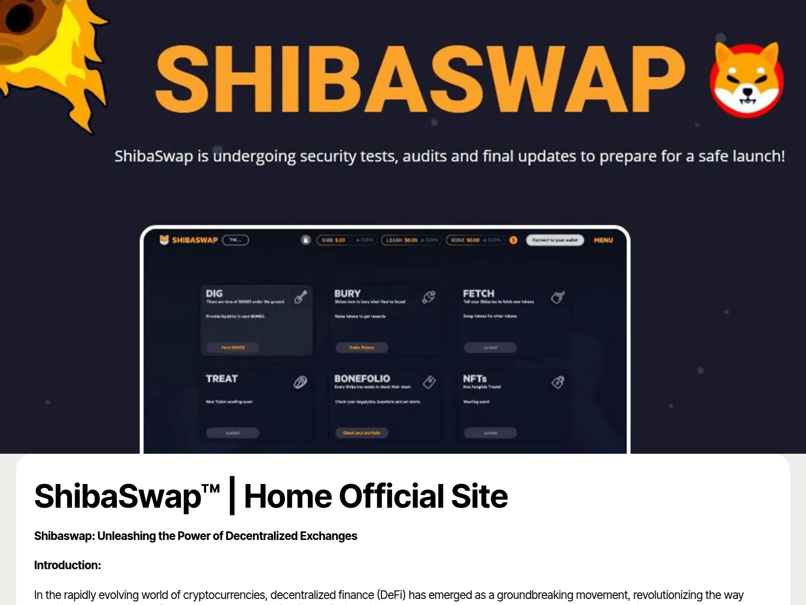 Forensic screenshot of shibaswapk.github.io