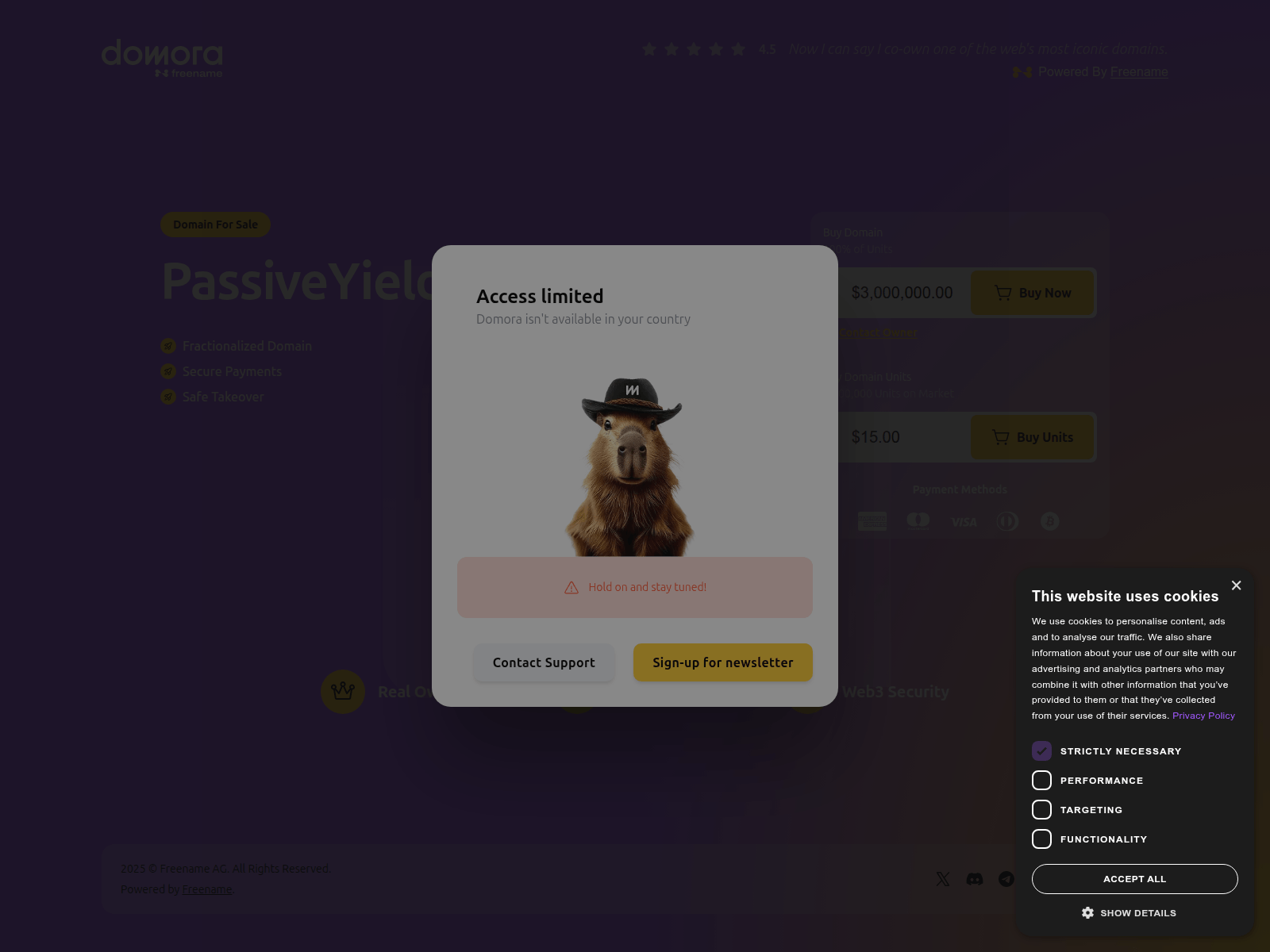 Screenshot of vwavanguard.com