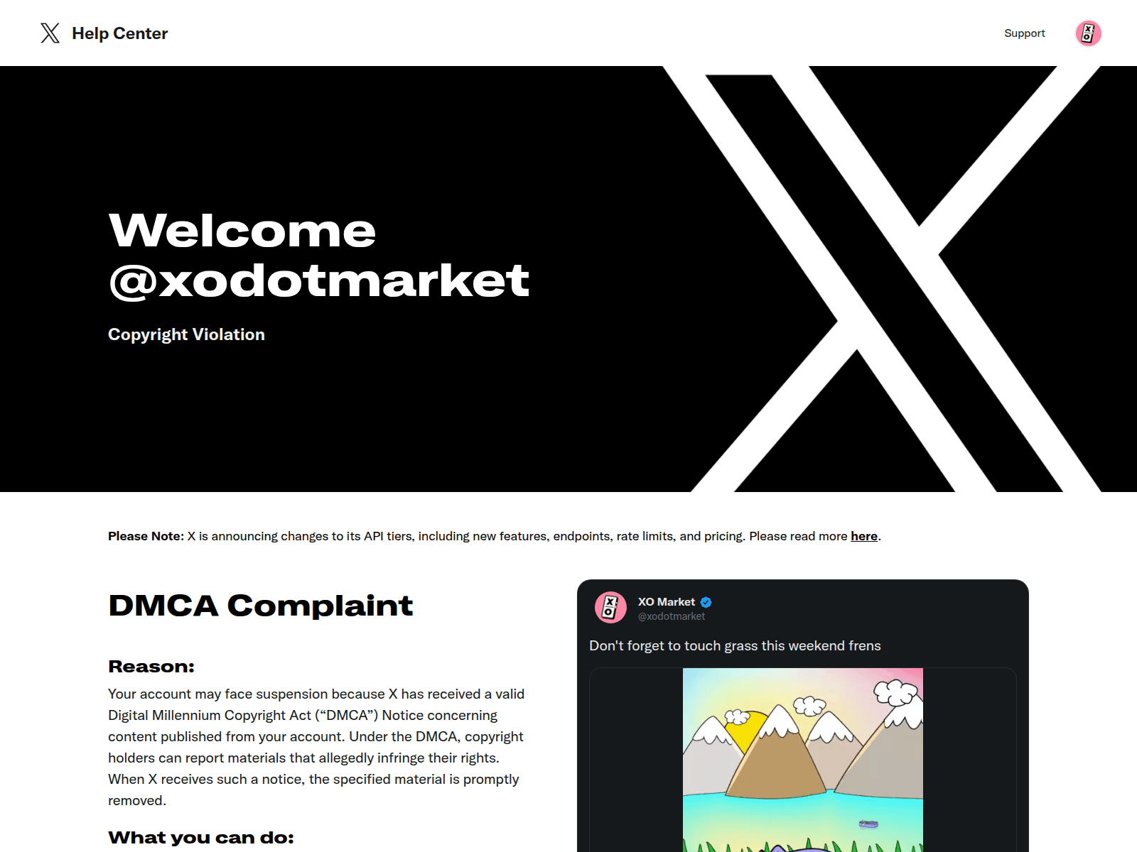 Screenshot of feedbacks-x.com