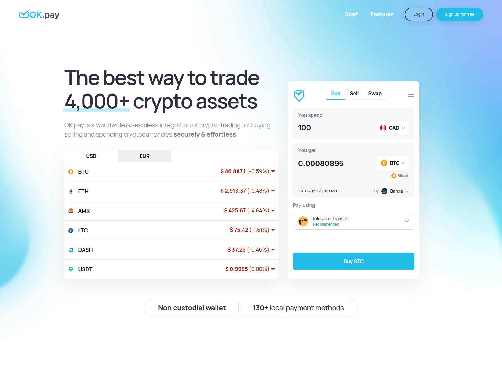 Screenshot of www.ok-pay.com