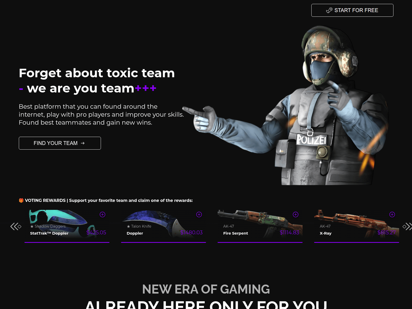 Screenshot of cs-finals.com