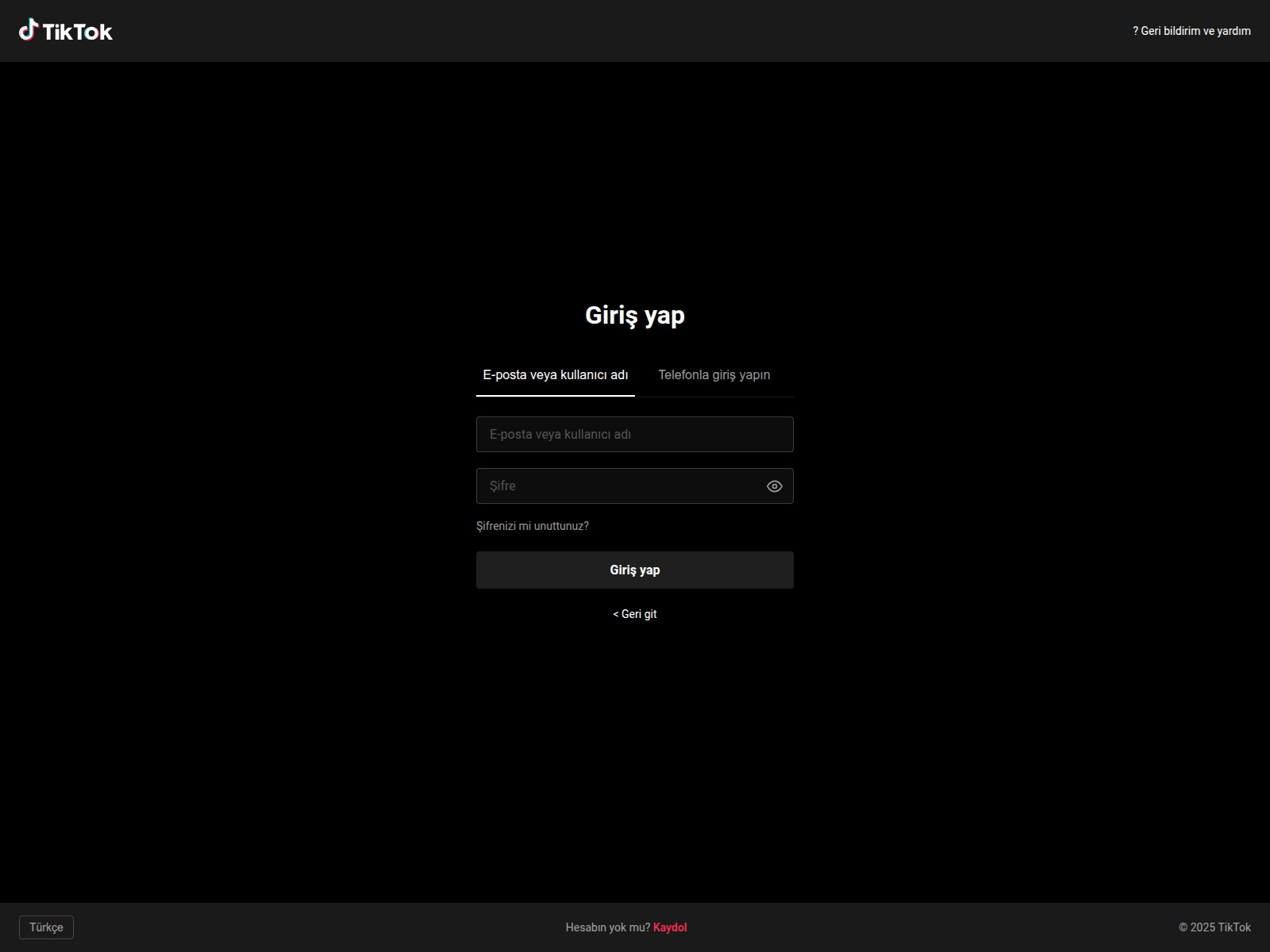 Screenshot of tiktoklog.vercel.app