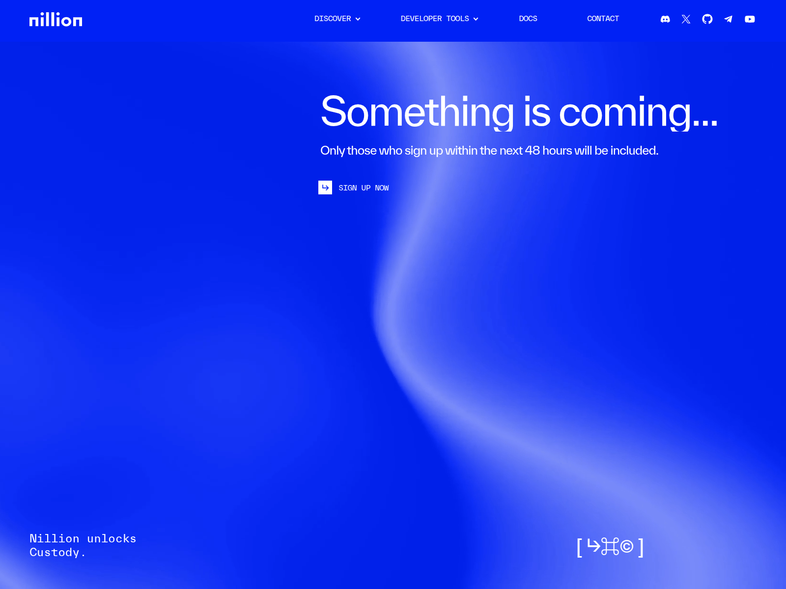 Screenshot of incentive-nillion.xyz