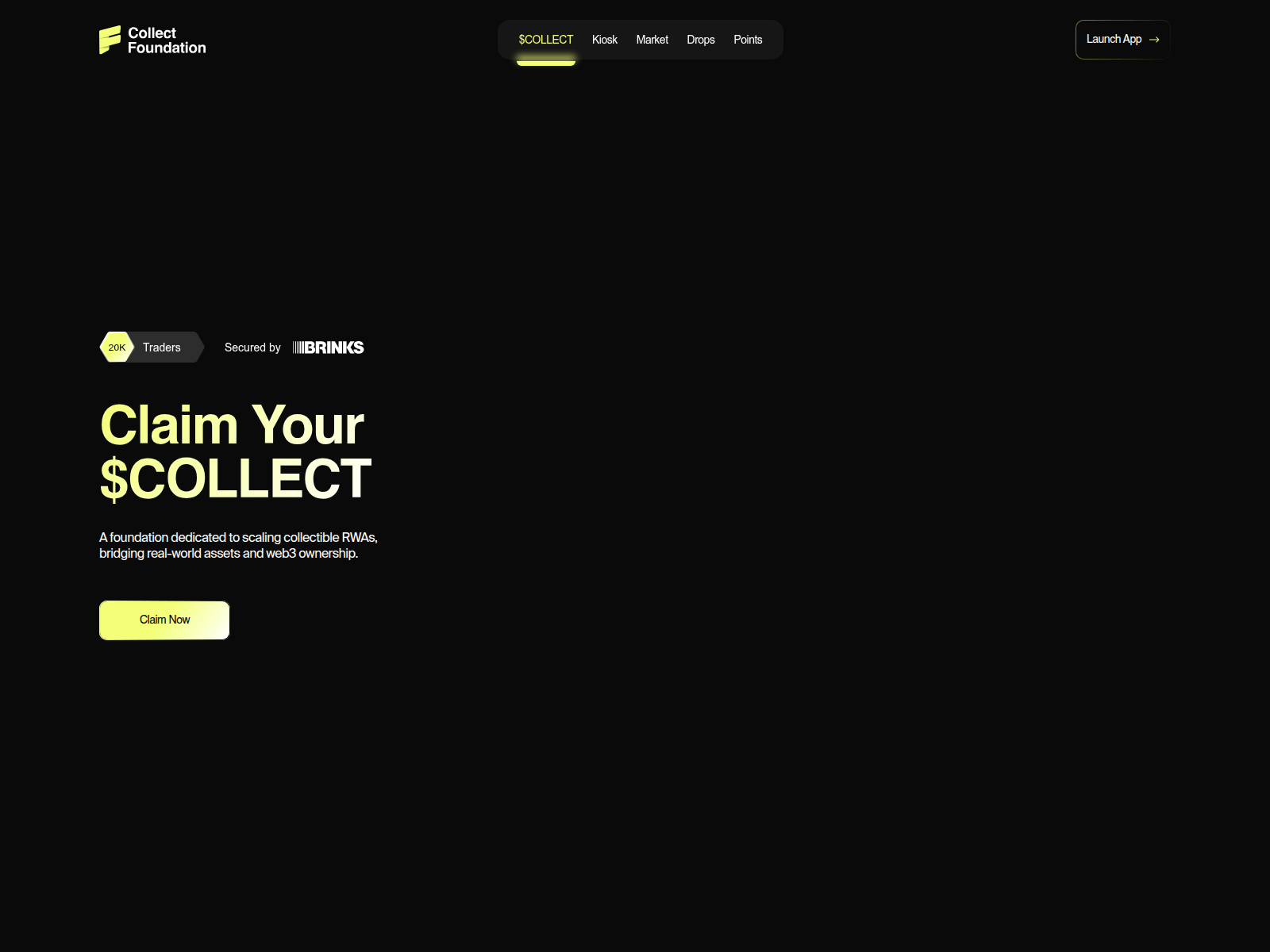 Screenshot of collect-foundation.com