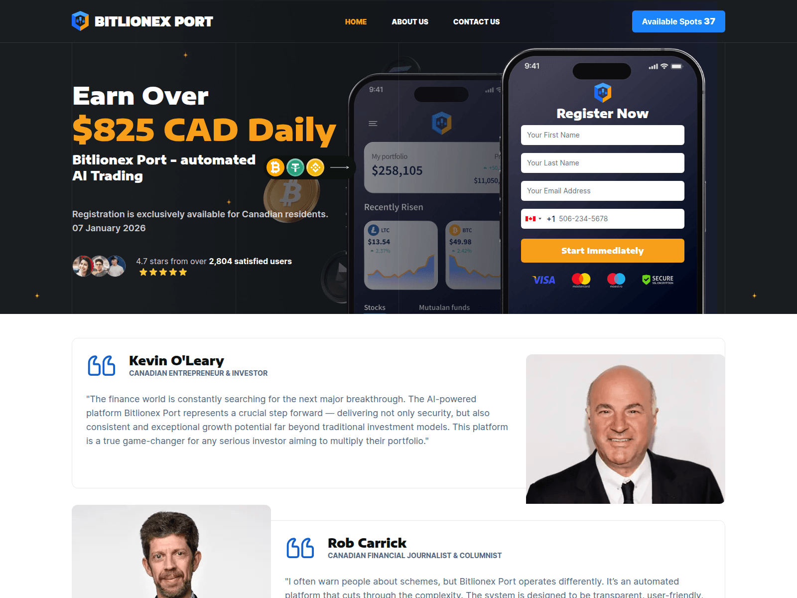 Screenshot of bitlionexport-invest.com