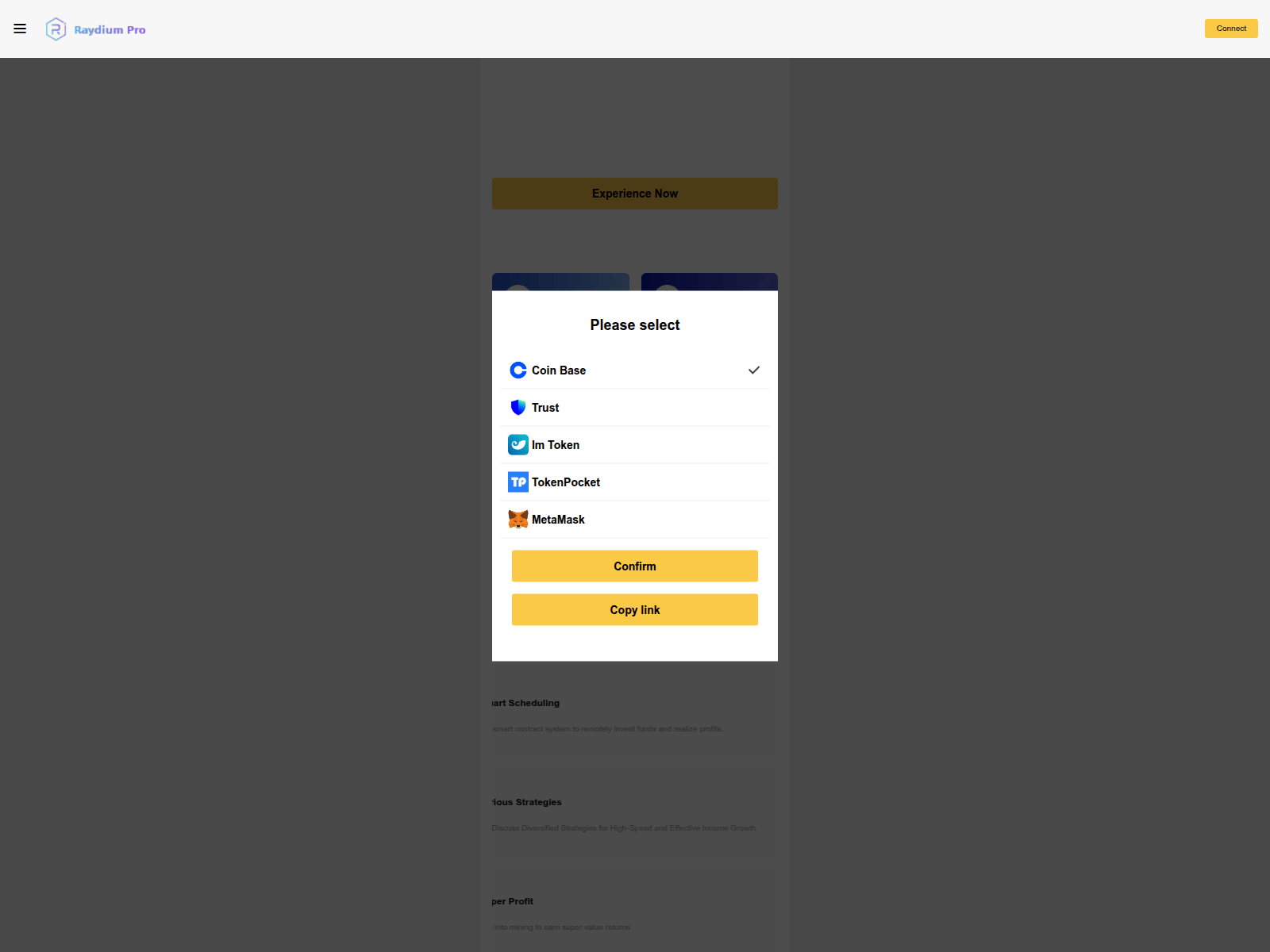 Screenshot of raydiumpro-vip.com