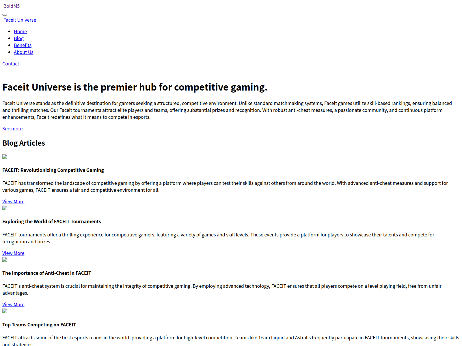 Screenshot of s.team-lz.world