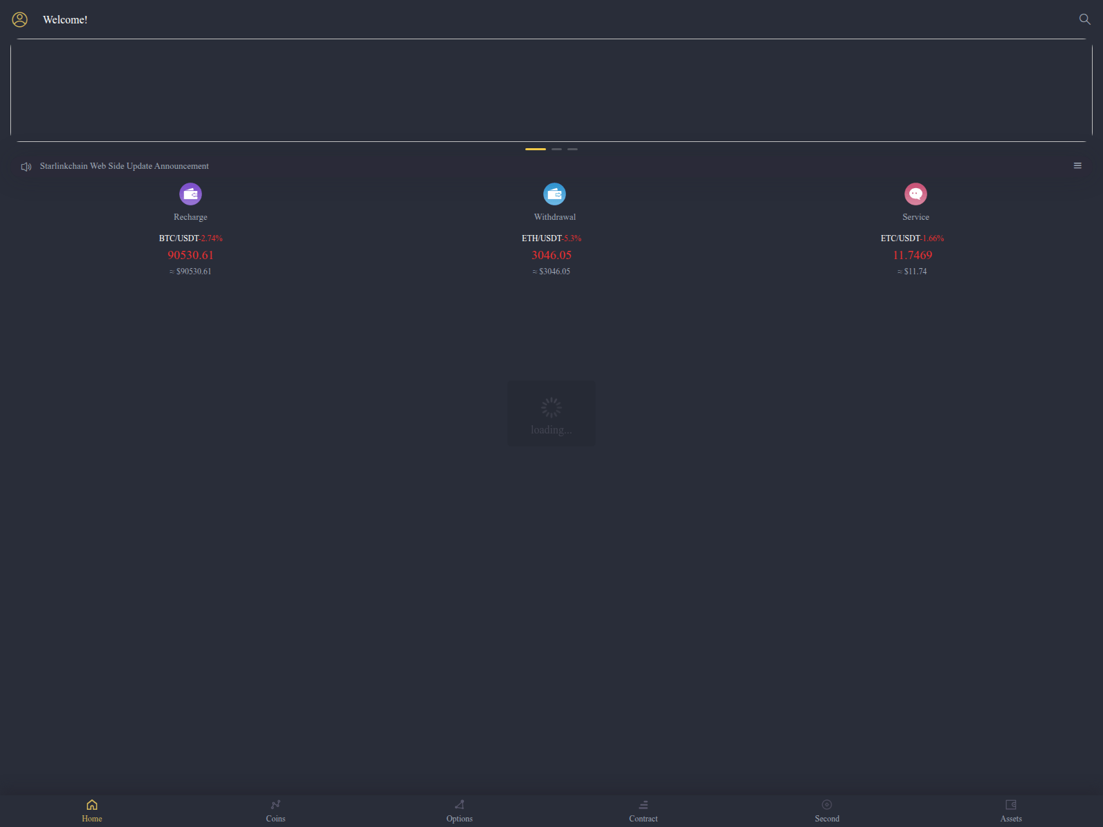 Screenshot of ryochain.online