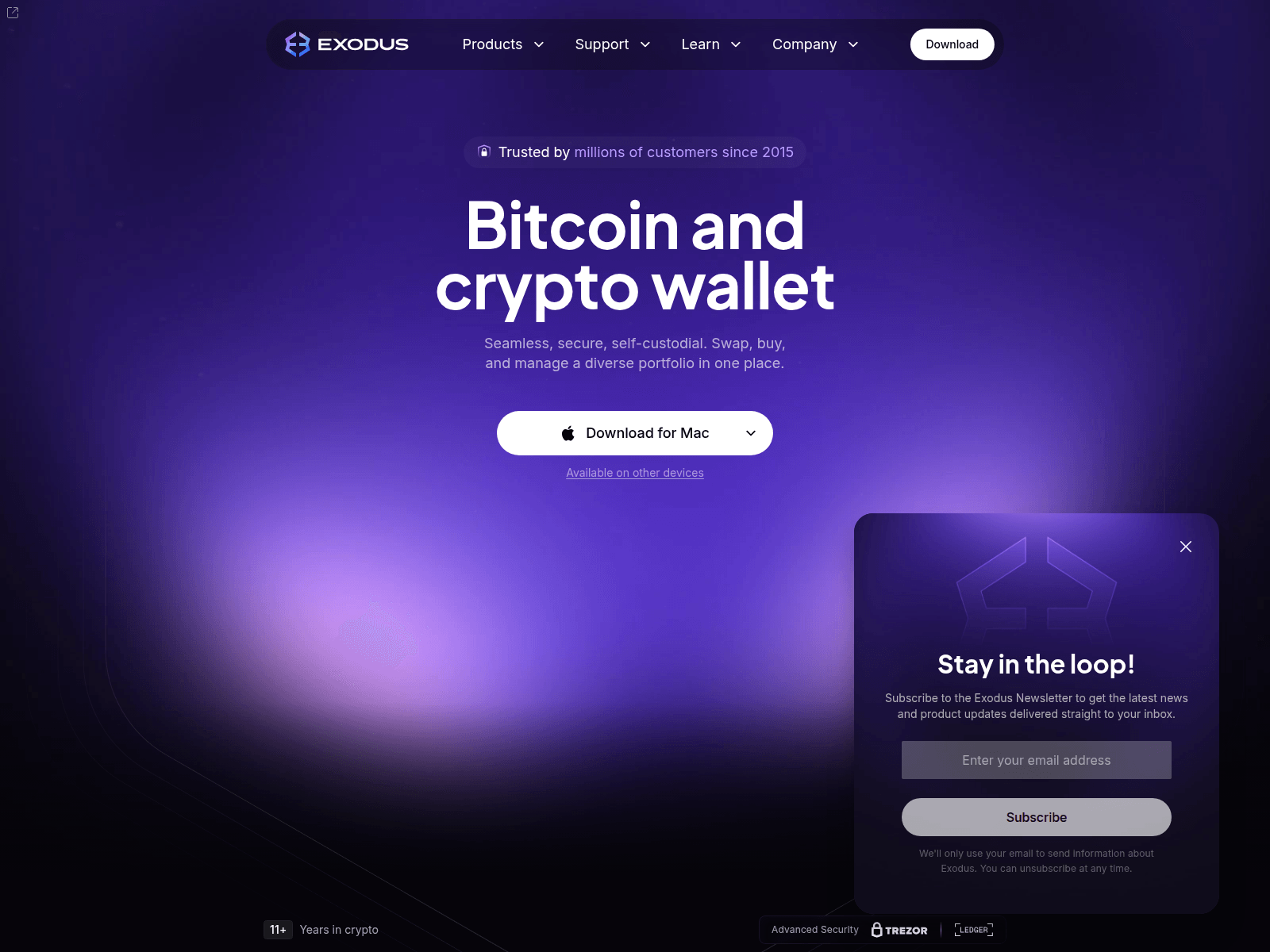 Screenshot of ledger-waliet.net