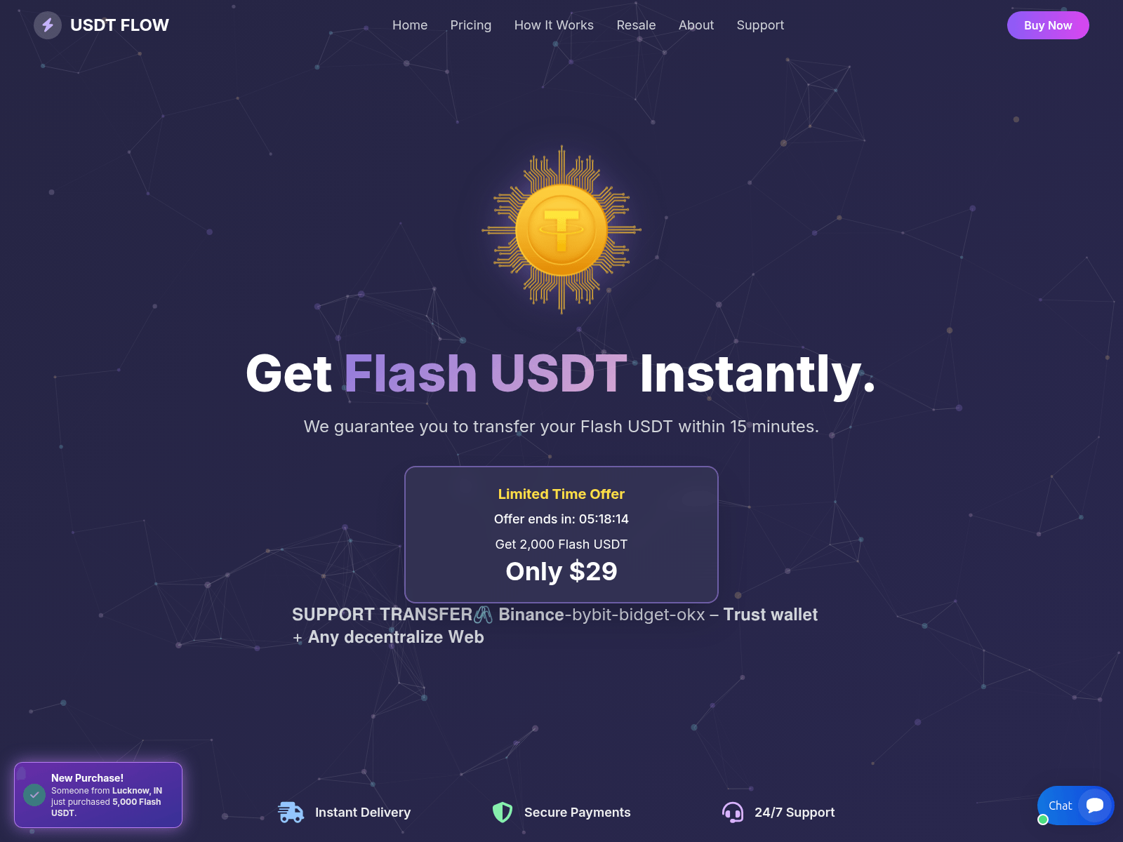 Screenshot of flashusdtexpert.shop