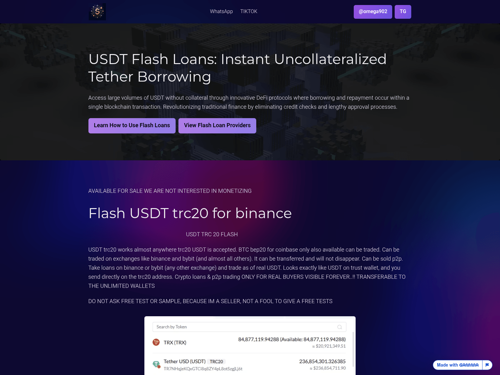 Screenshot of usdt-flash-loans-f6f39zl.gamma.site