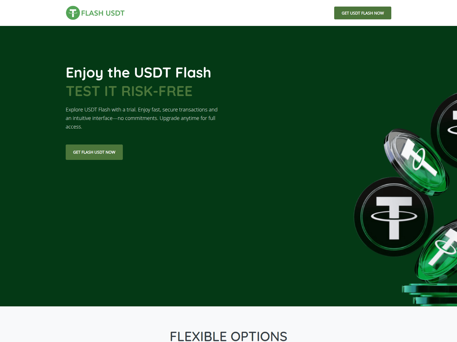 Screenshot of usdtflash.co.in